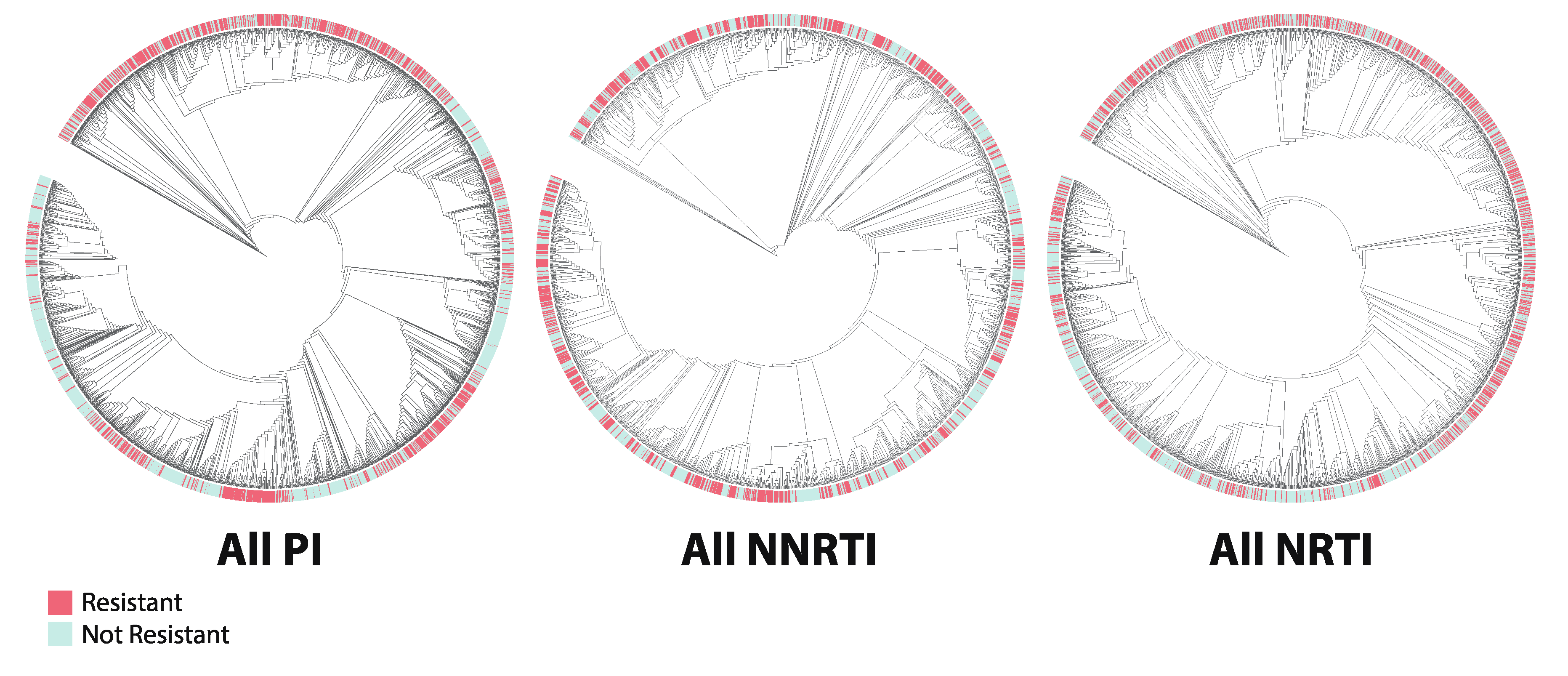 Viruses 12 00560 g008