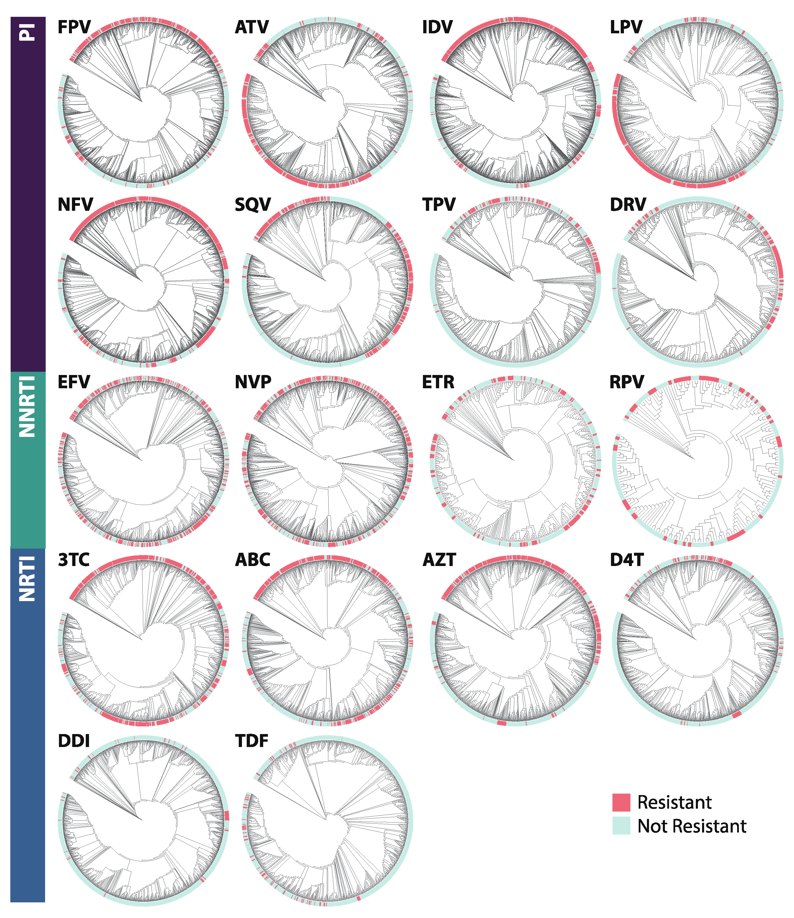 Viruses 12 00560 g009