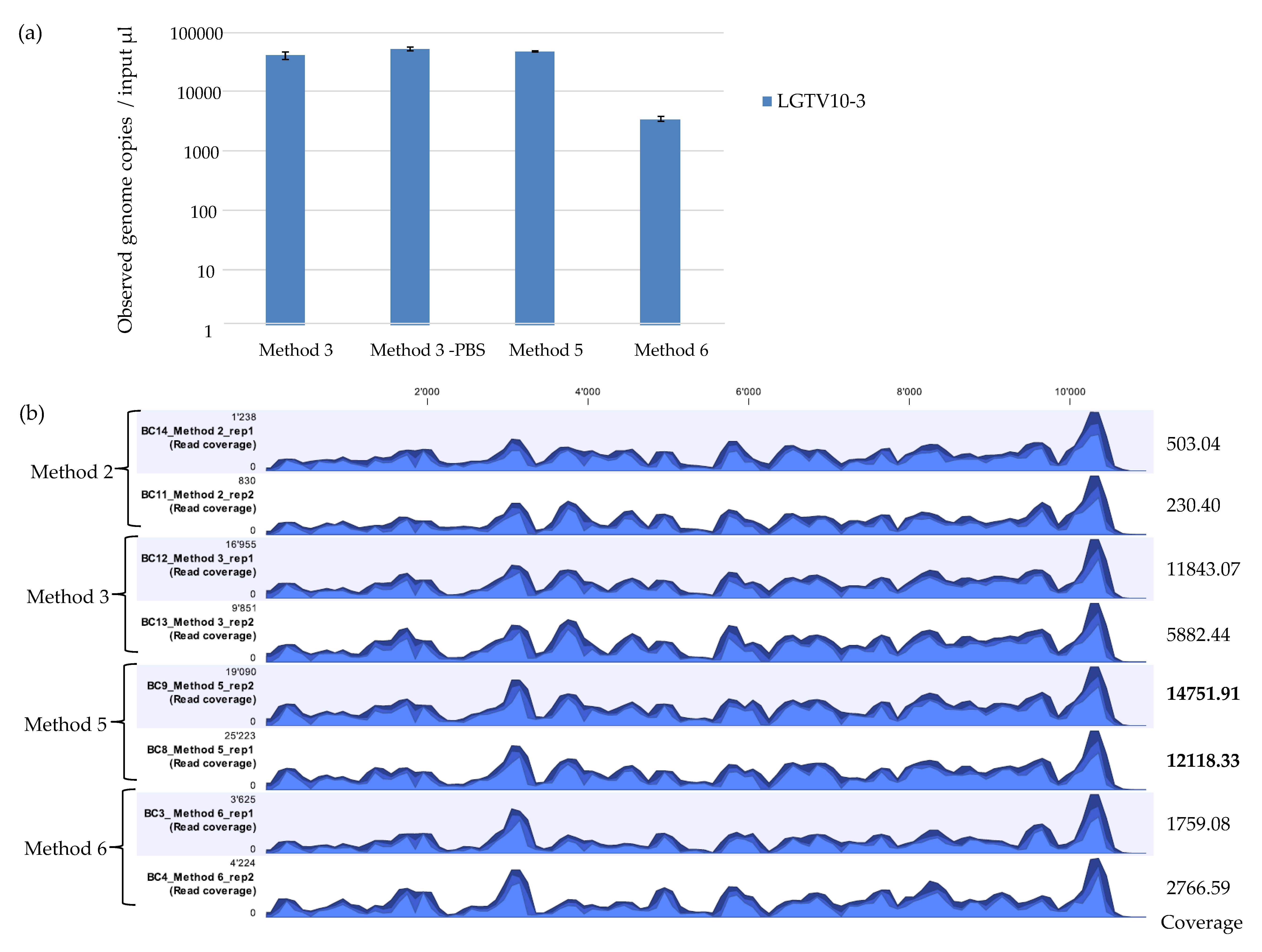 Viruses 12 00562 g003