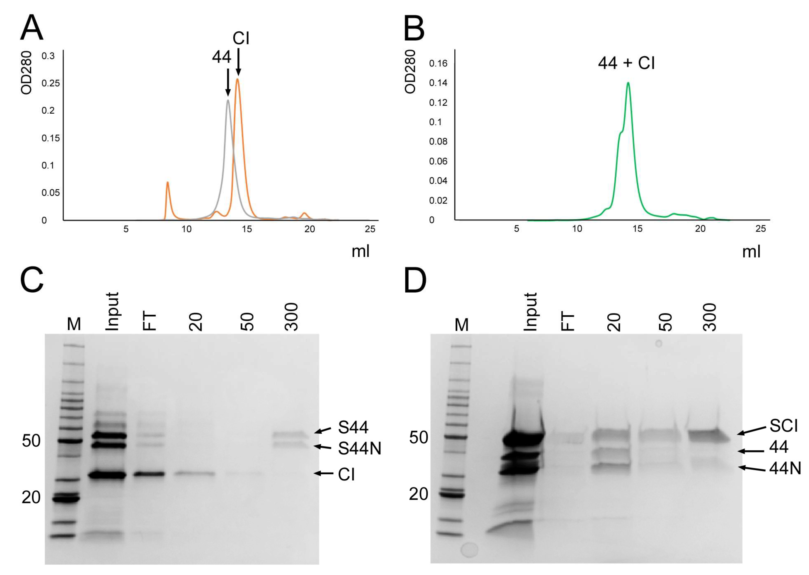 Viruses 12 00563 g003