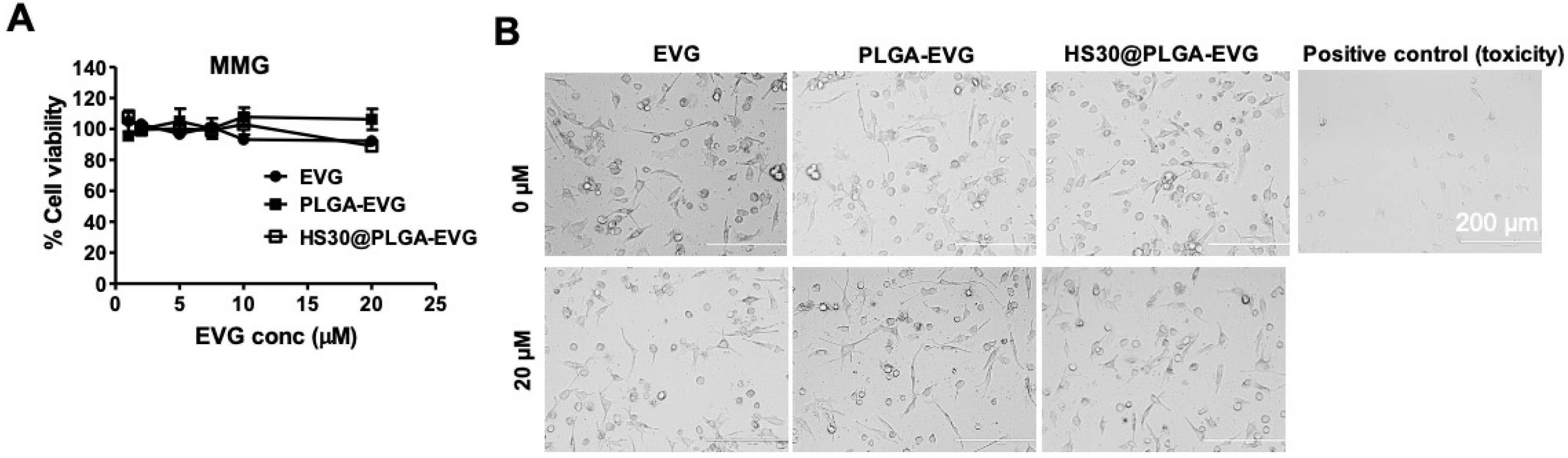 Viruses 12 00564 g001