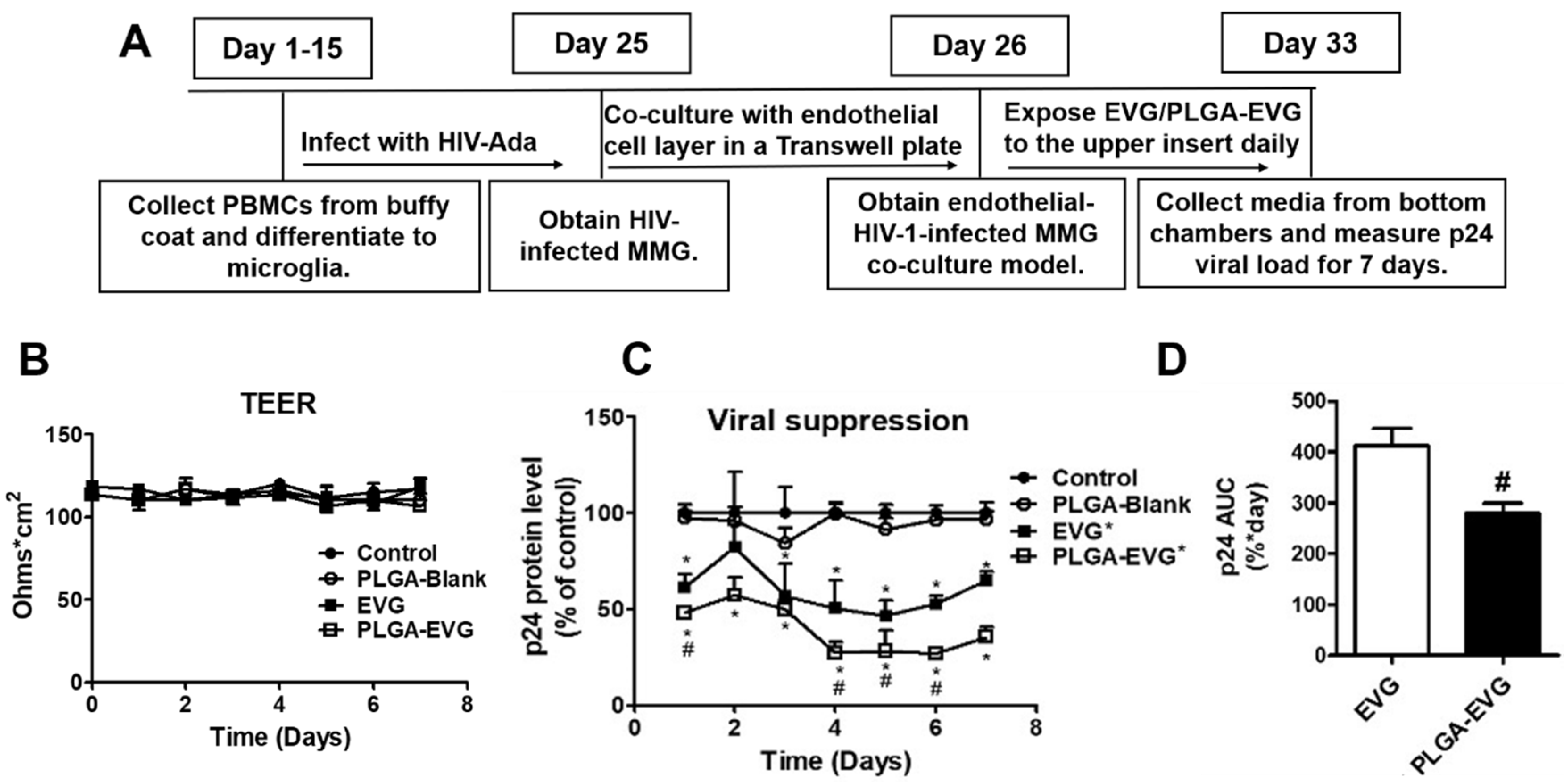 Viruses 12 00564 g003