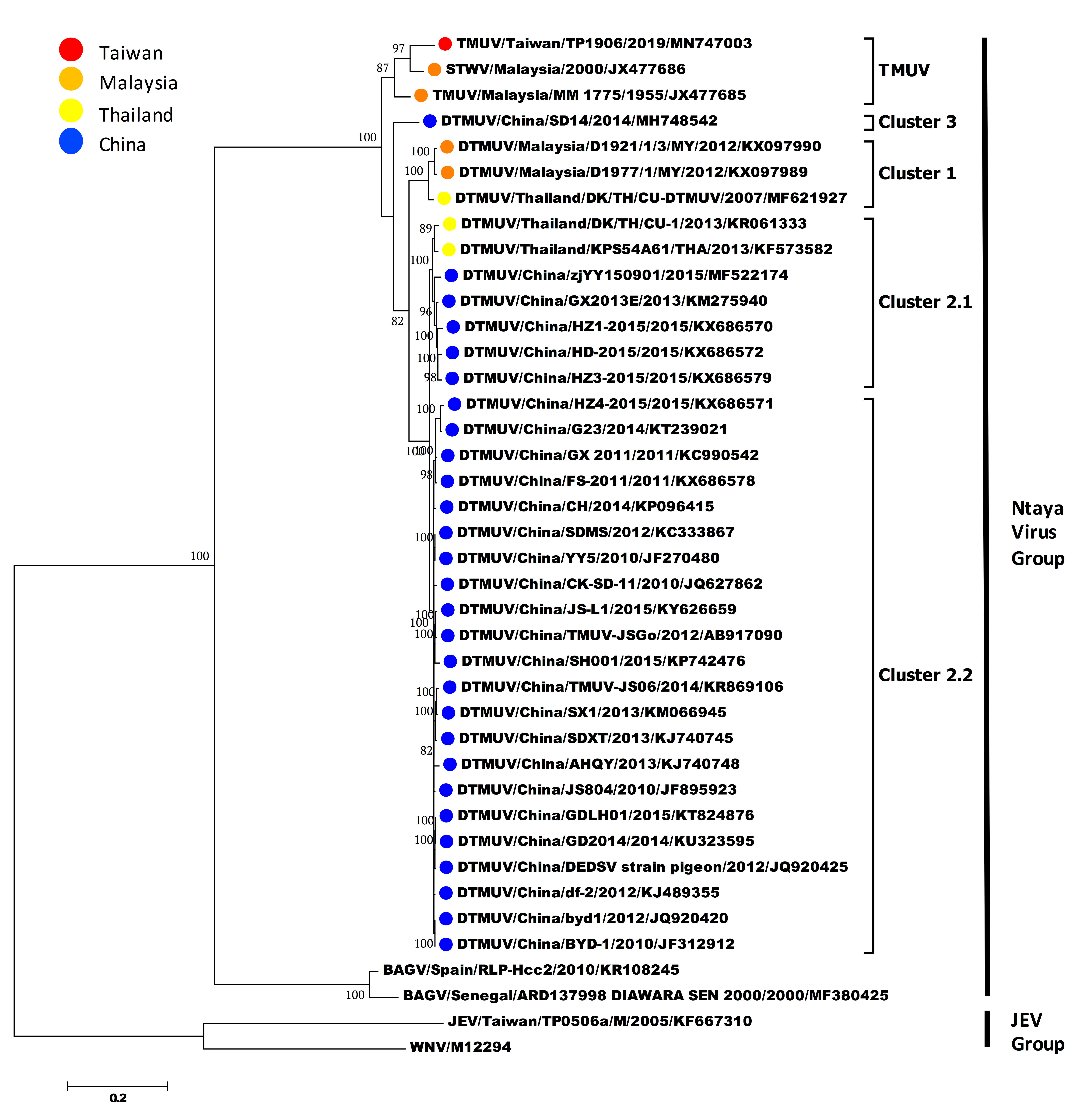 Viruses 12 00567 g003