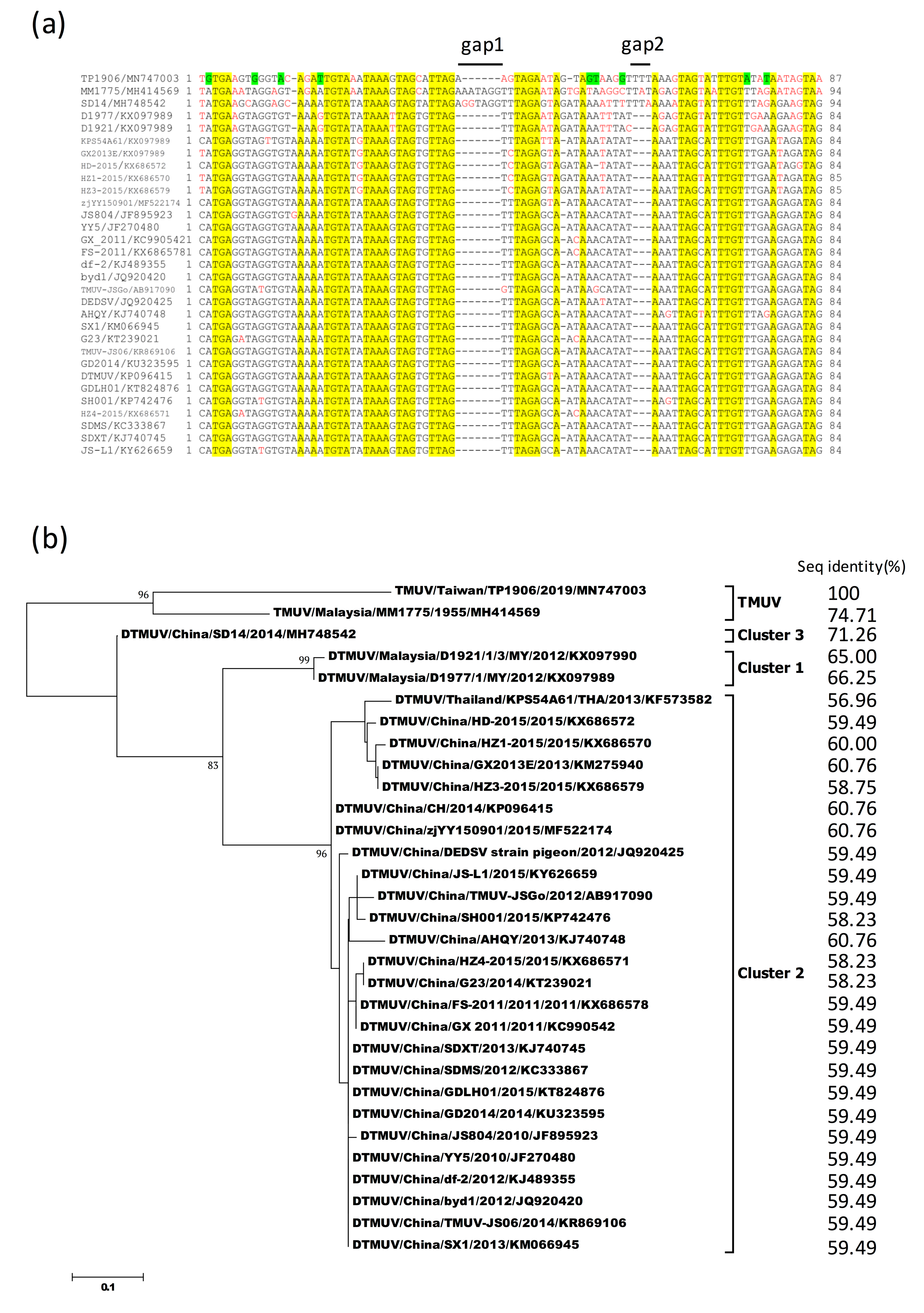 Viruses 12 00567 g005