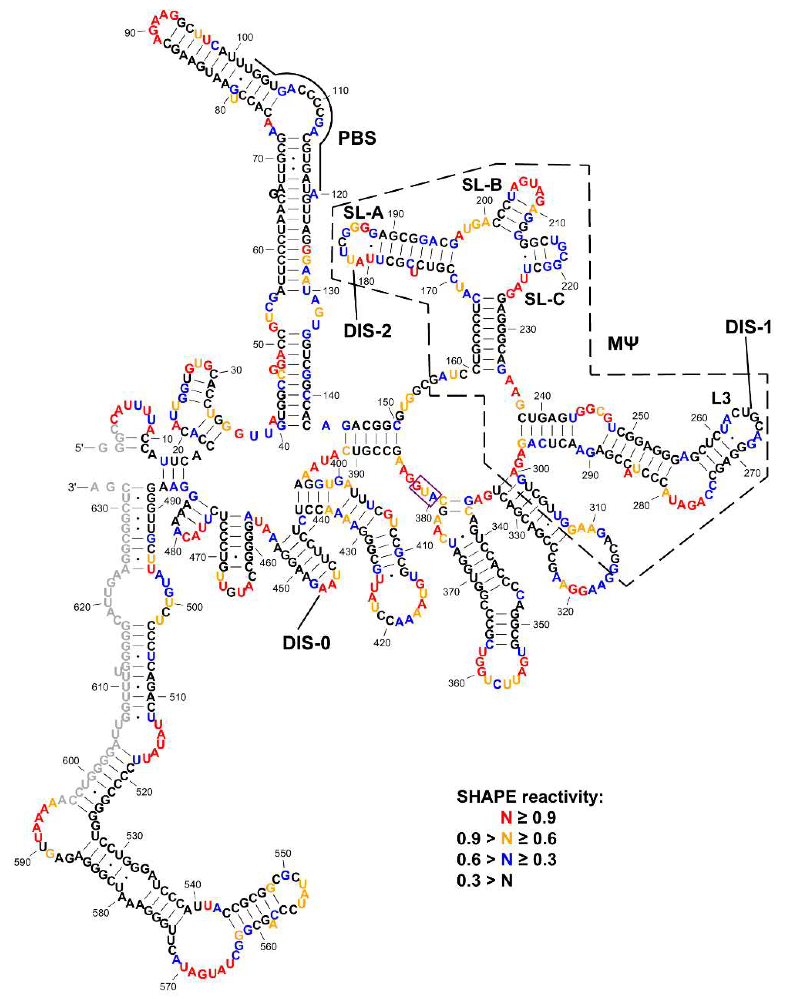 Viruses 12 00568 g001