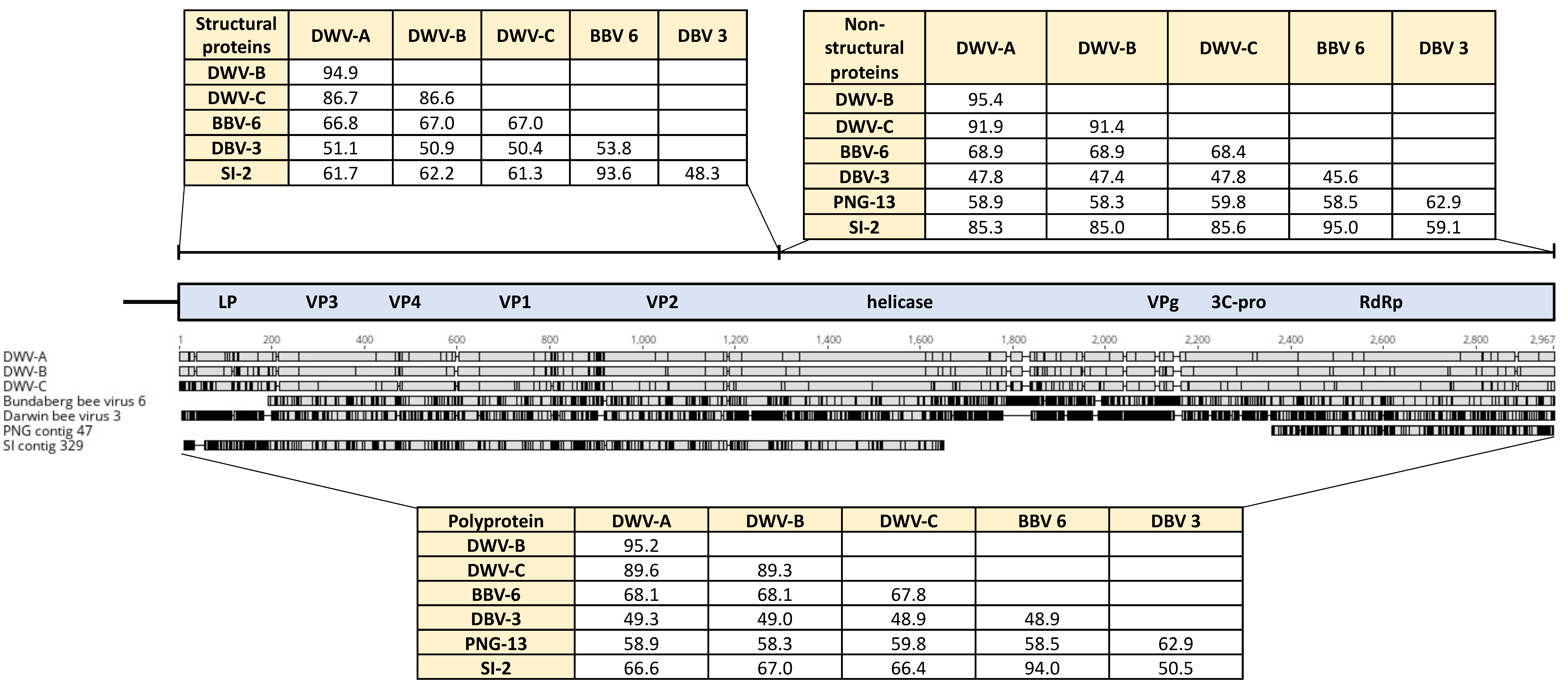 Viruses 12 00575 g001