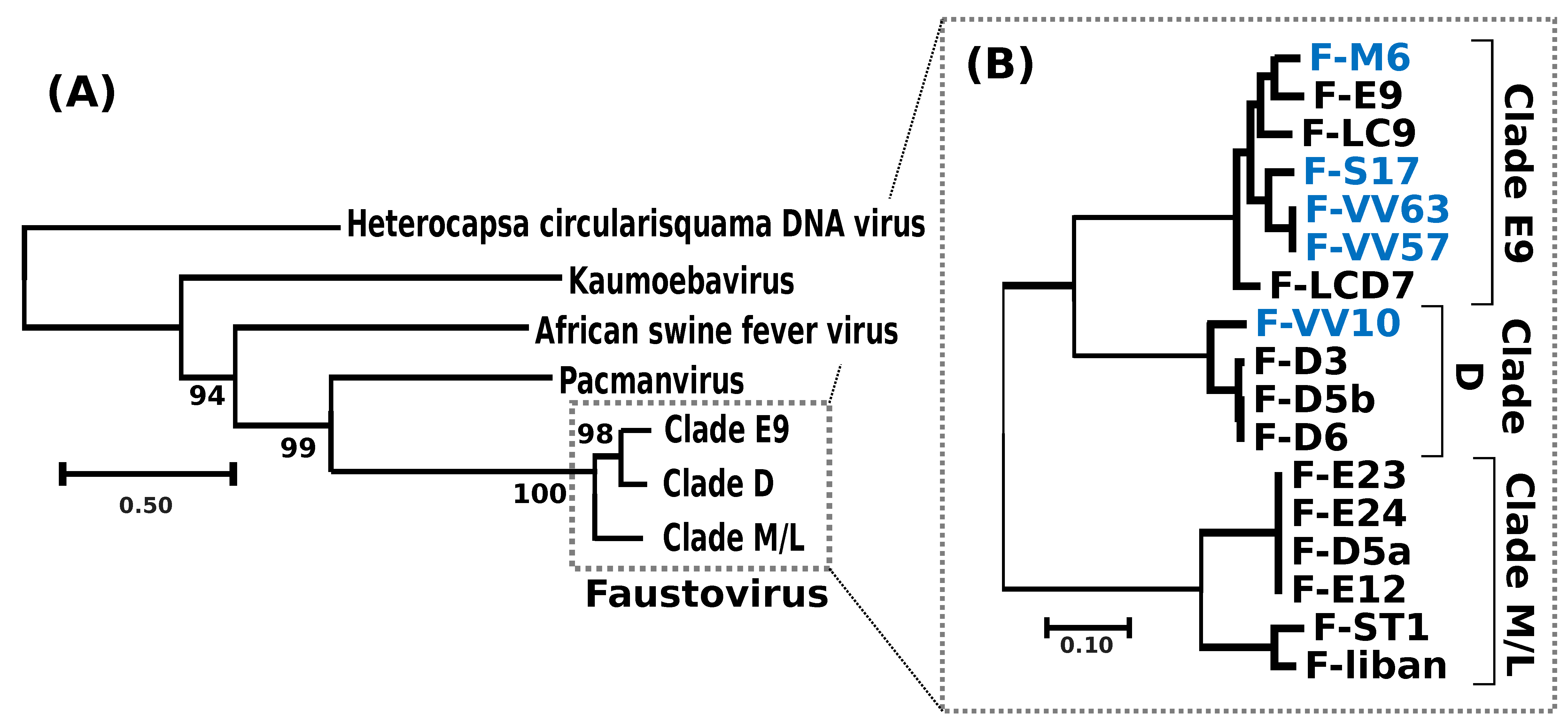 Viruses 12 00577 g002
