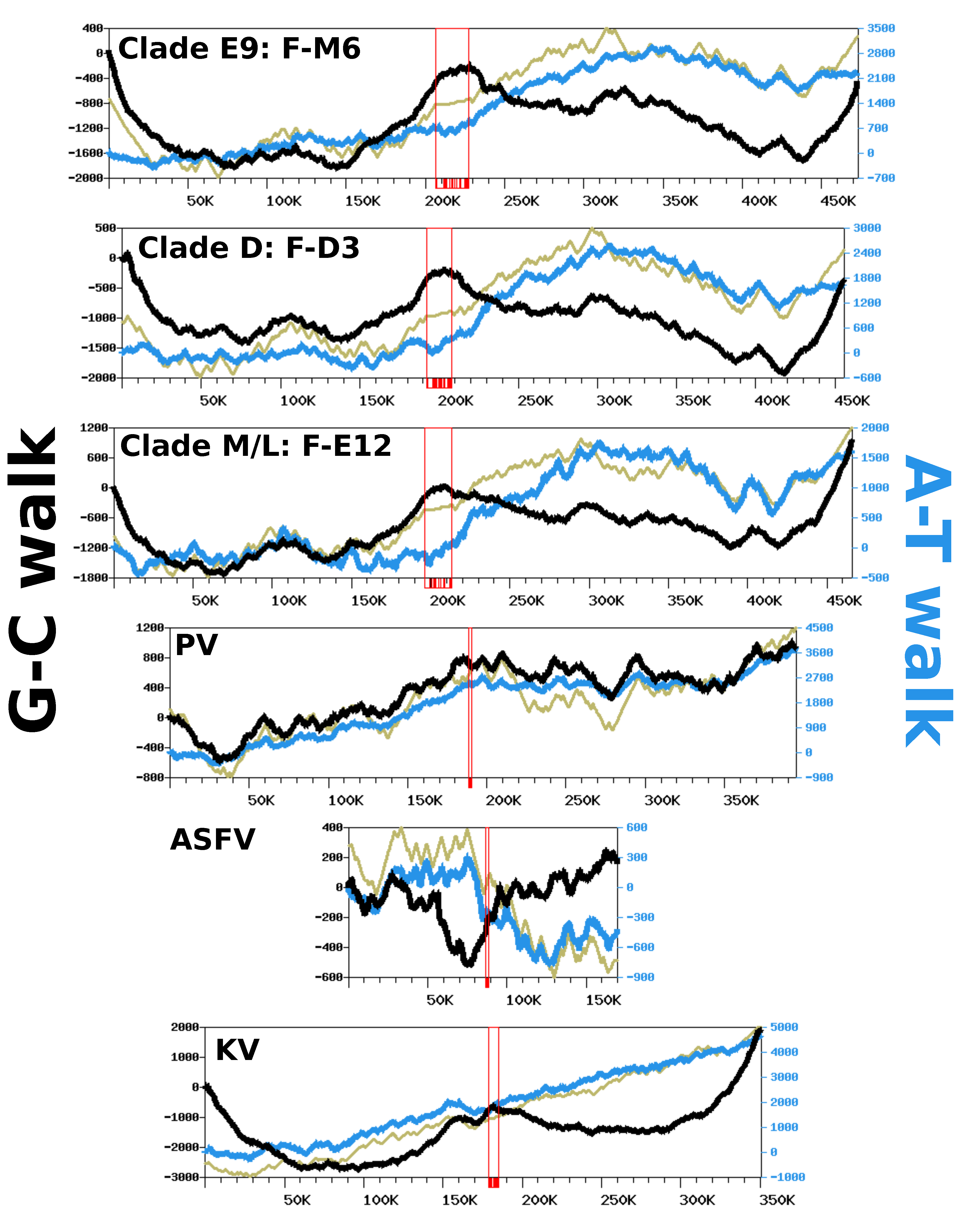 Viruses 12 00577 g005