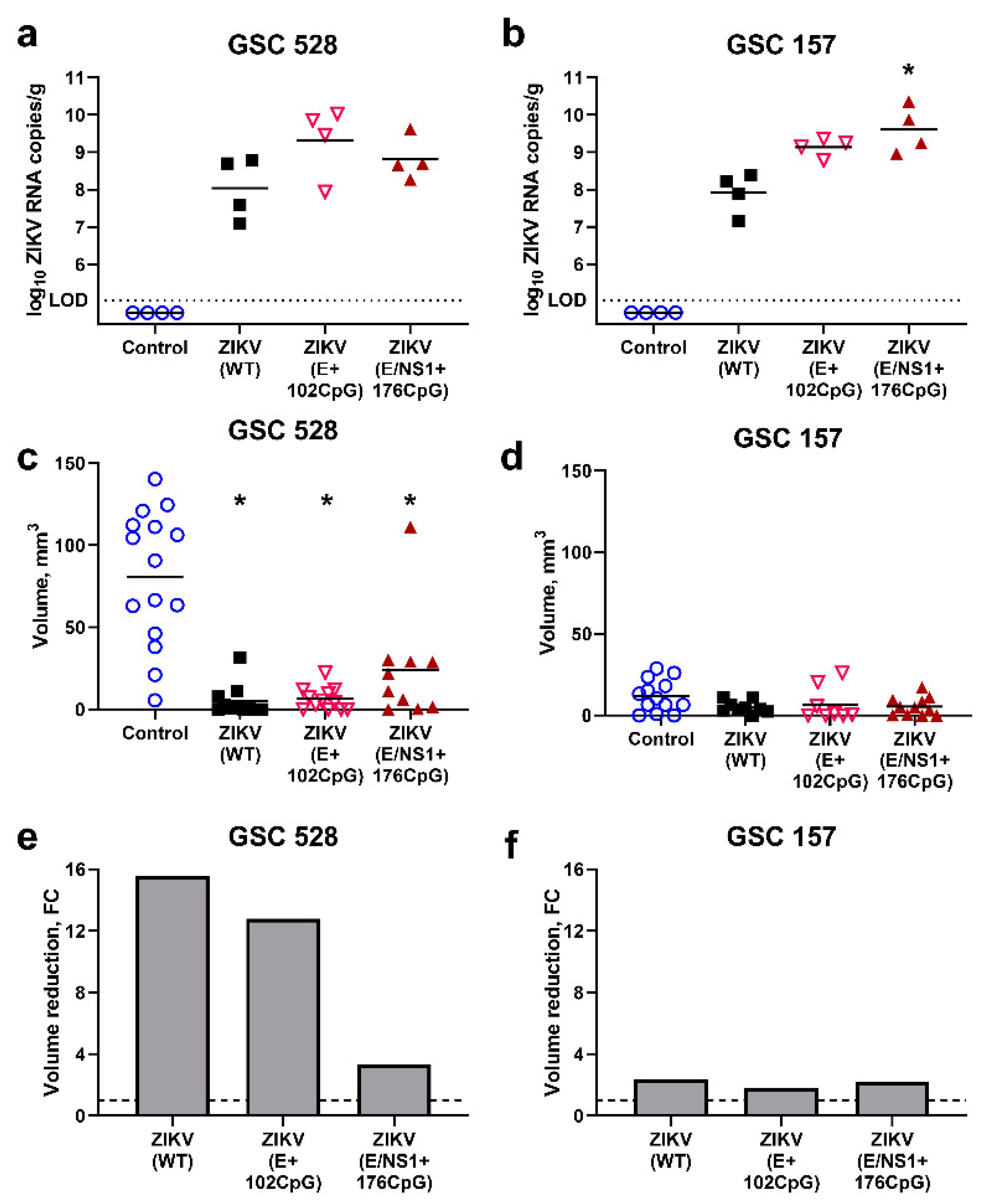 Viruses 12 00579 g005