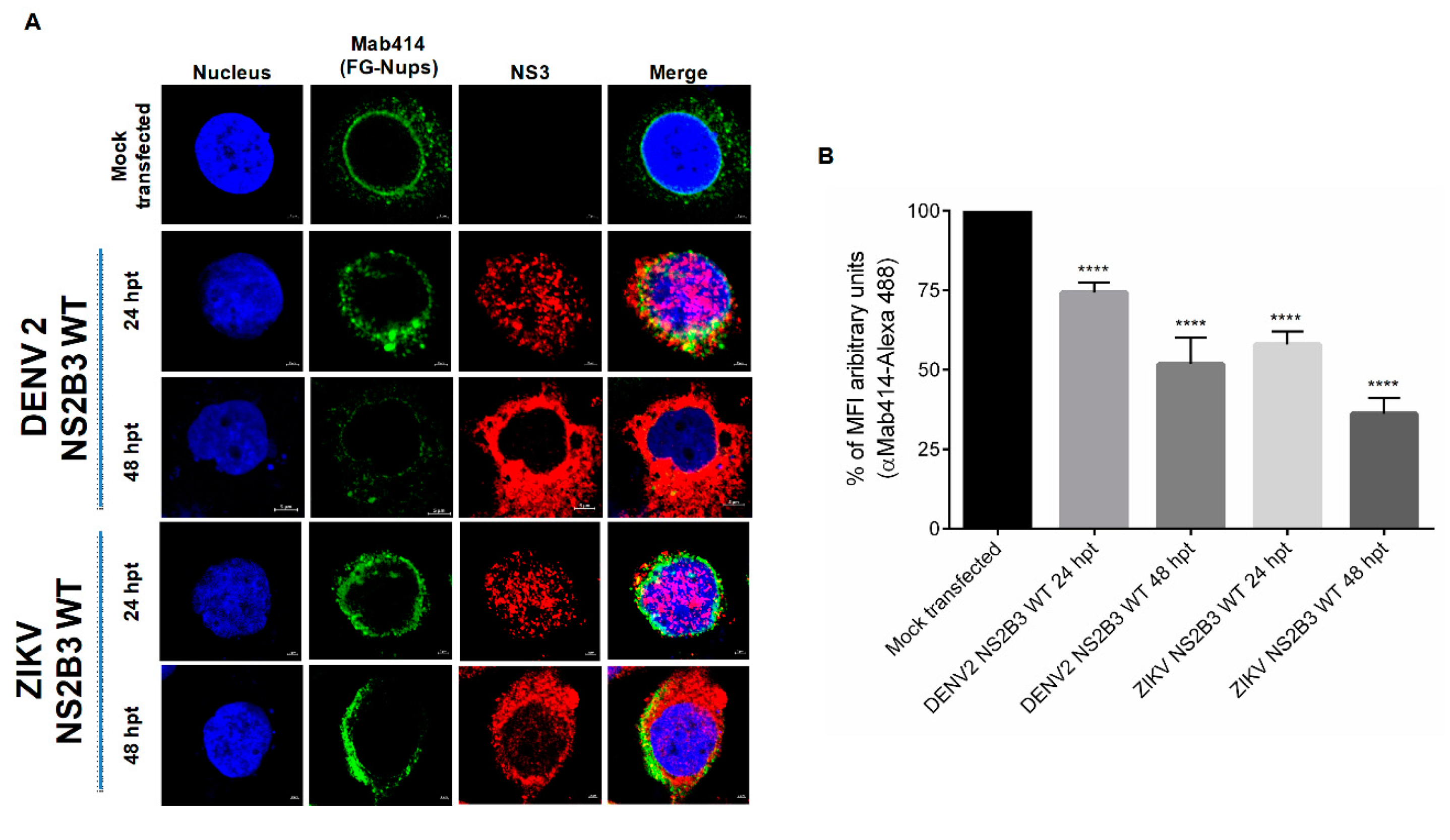 Viruses 12 00583 g009