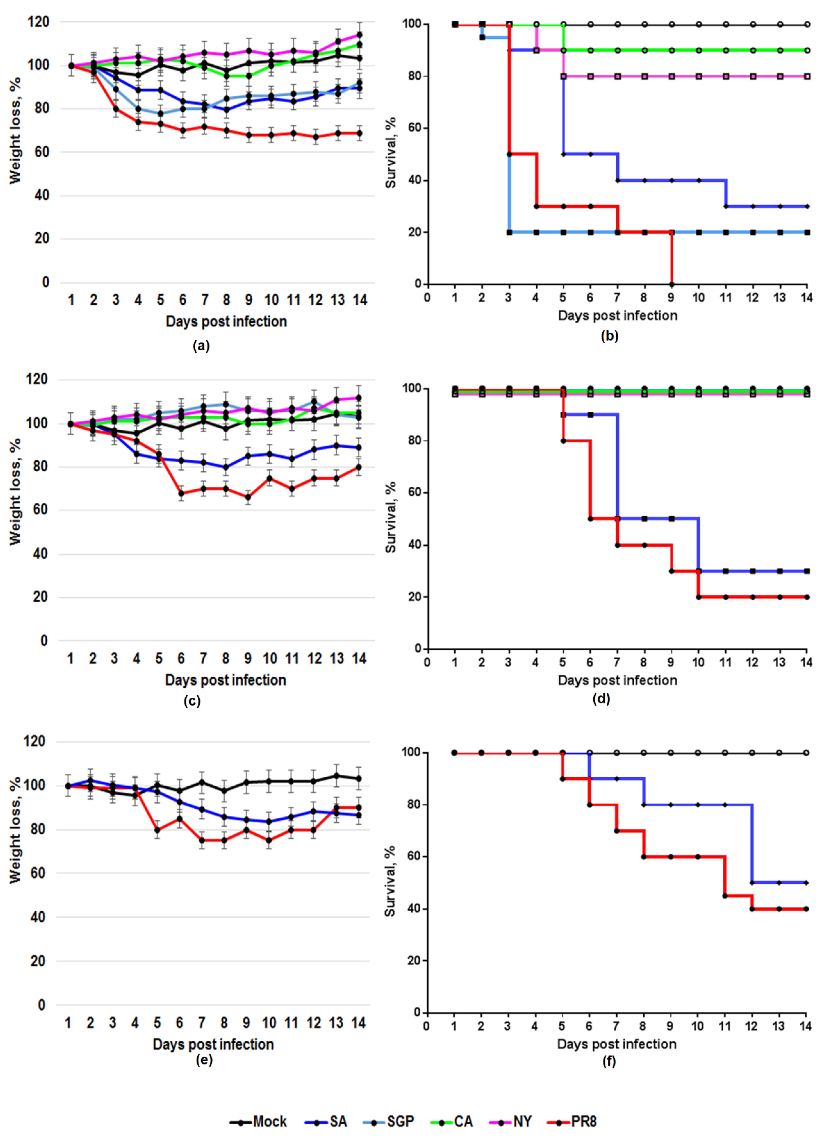 Viruses 12 00590 g001 Viruses 12 00590 g001