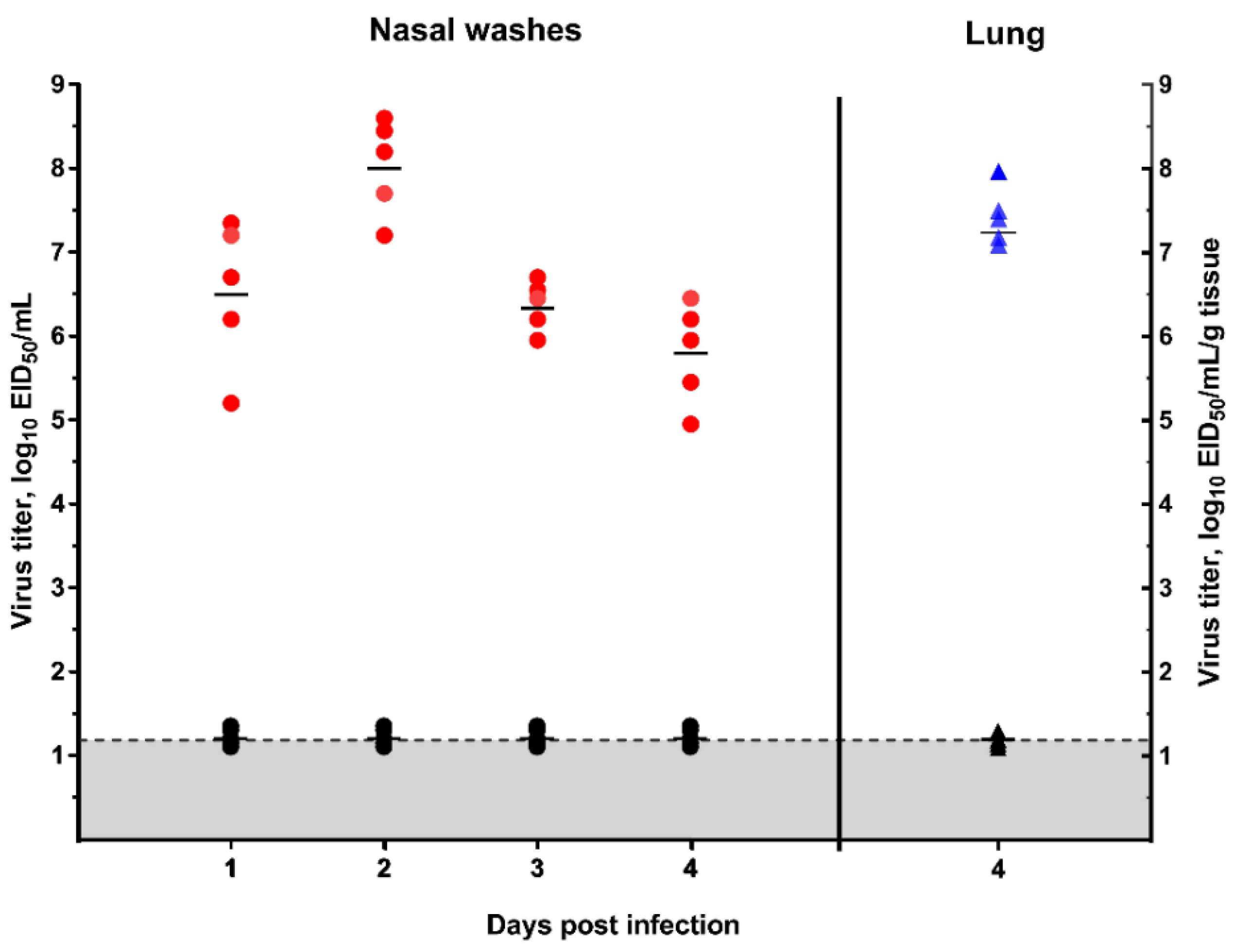 Viruses 12 00590 g005 Viruses 12 00590 g005