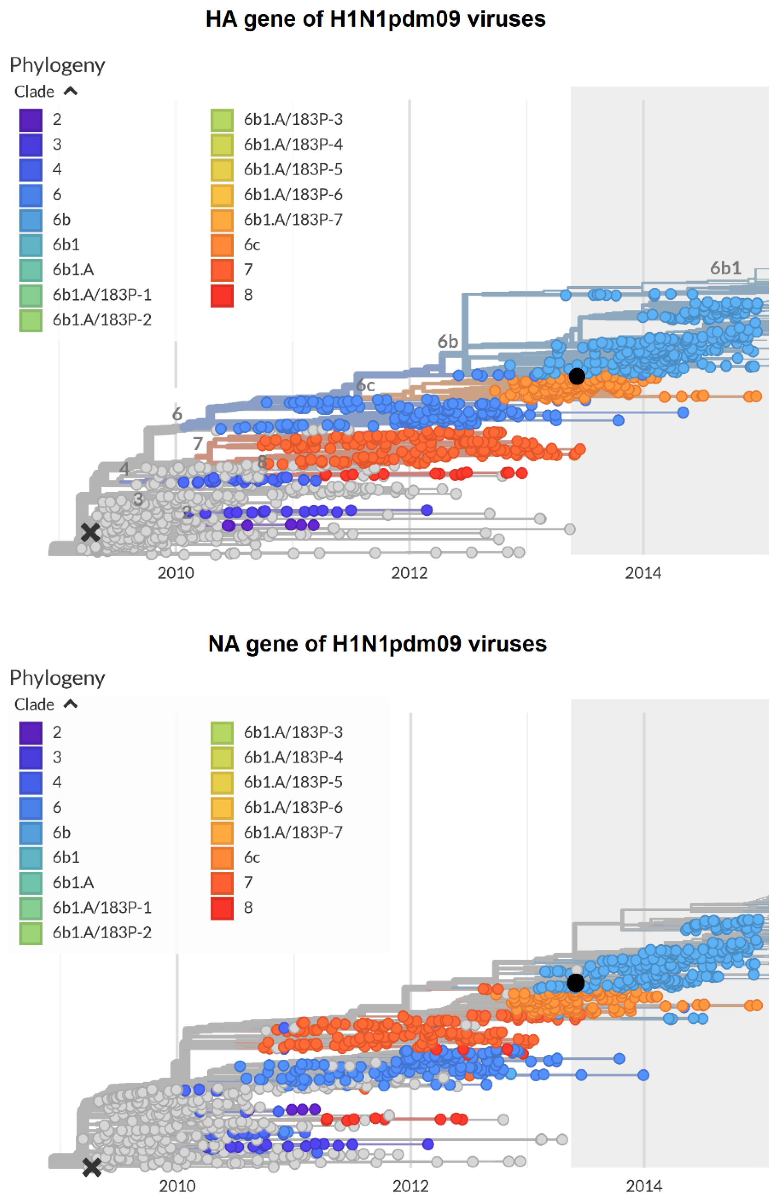 Viruses 12 00590 g007 Viruses 12 00590 g007