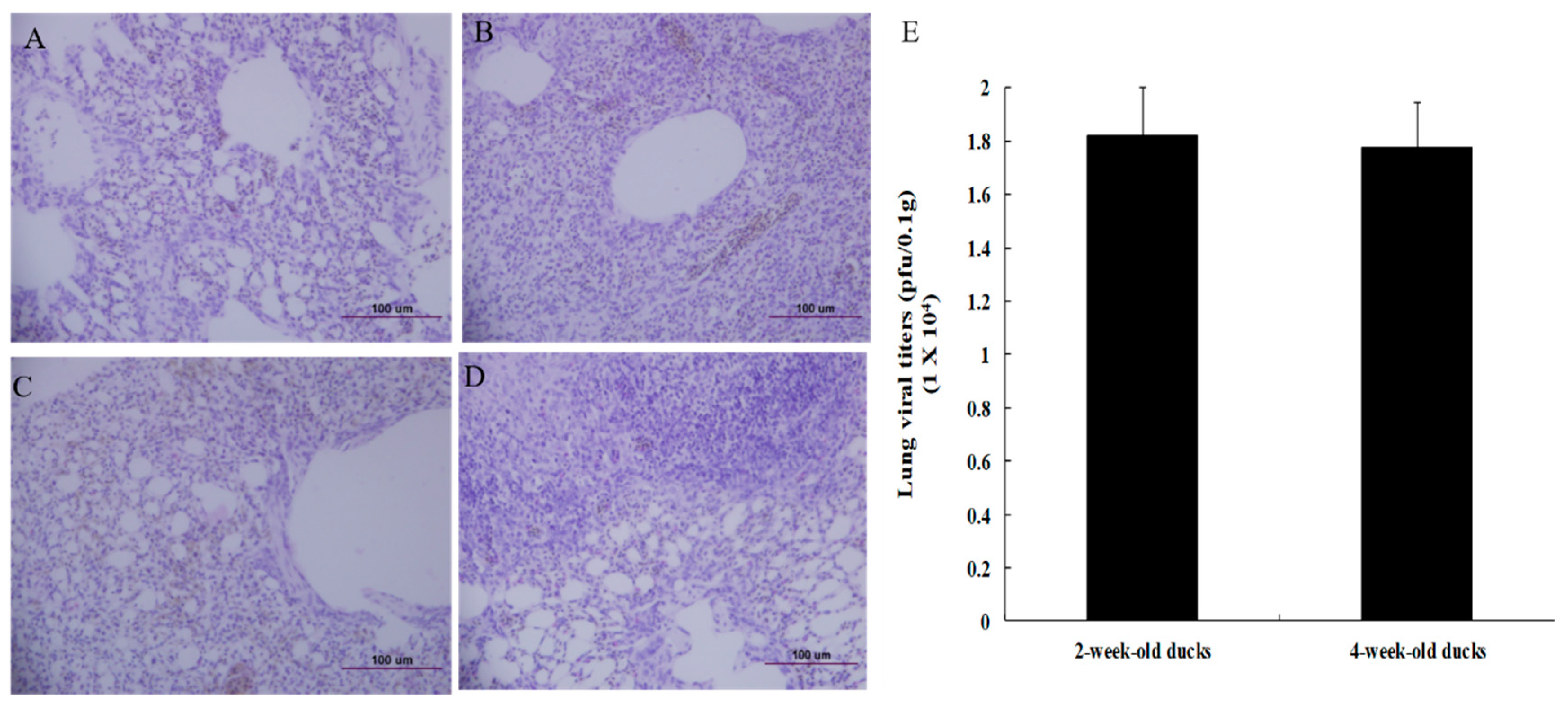 Viruses 12 00591 g002 Viruses 12 00591 g002