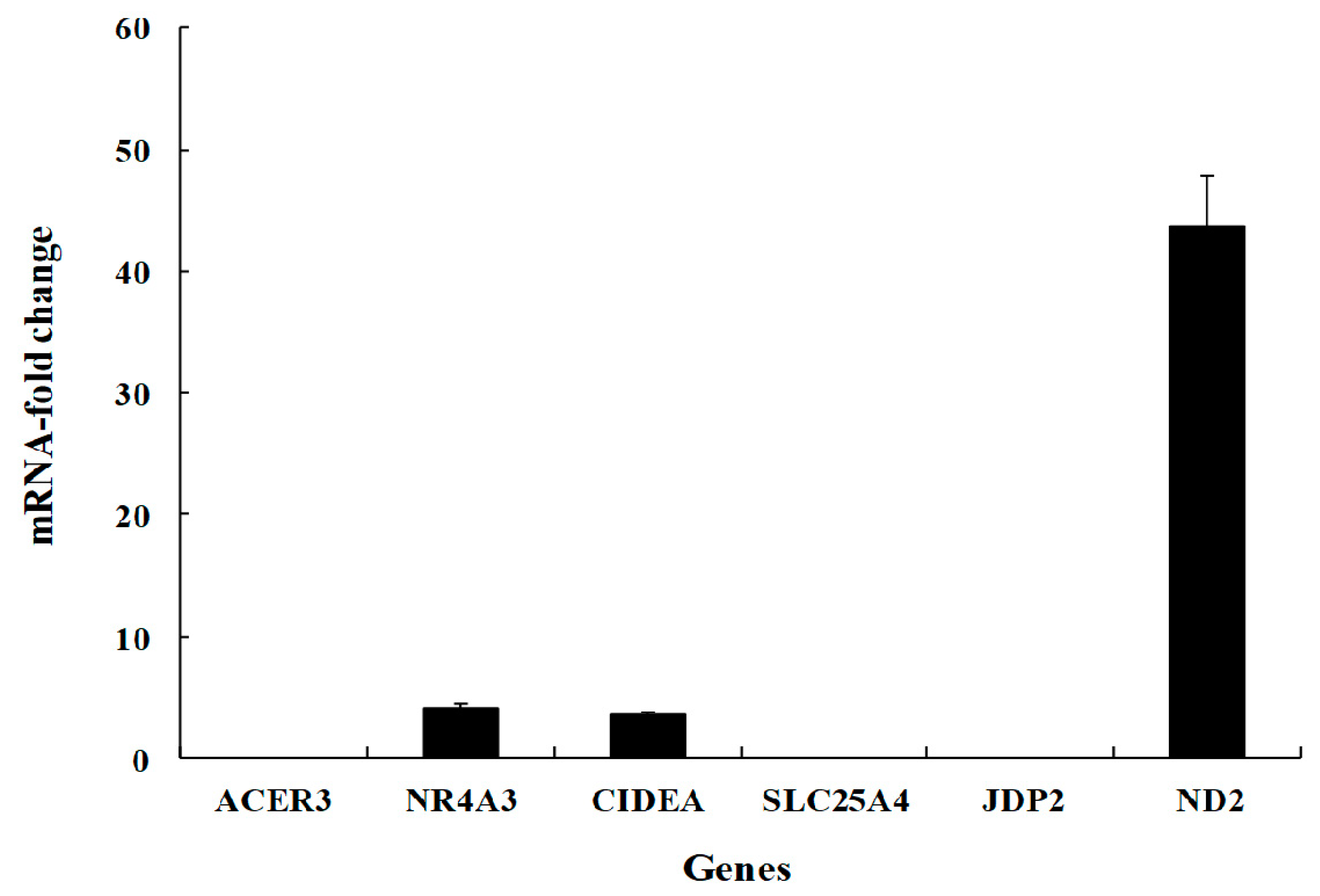 Viruses 12 00591 g005 Viruses 12 00591 g005