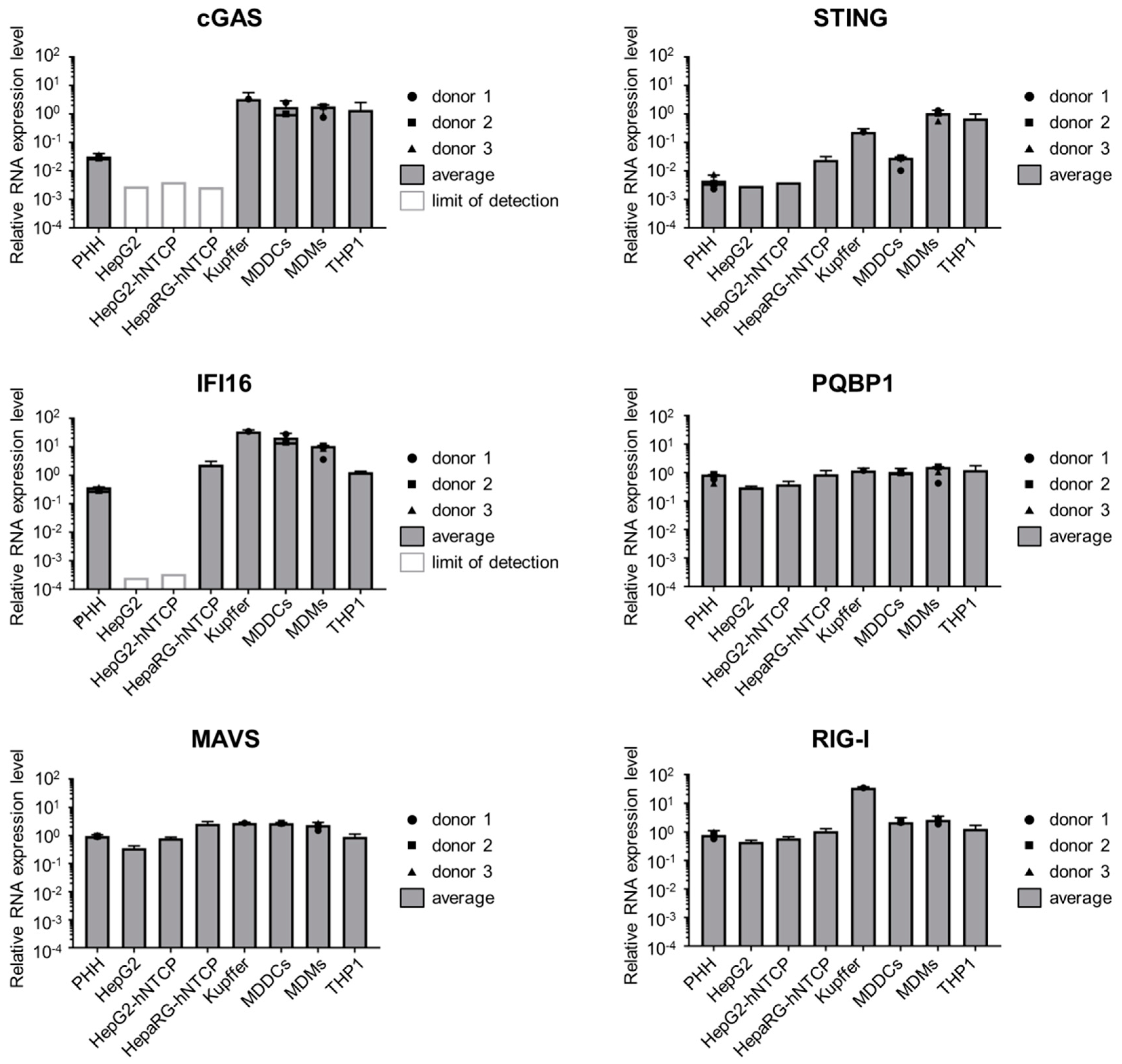 Viruses 12 00592 g003