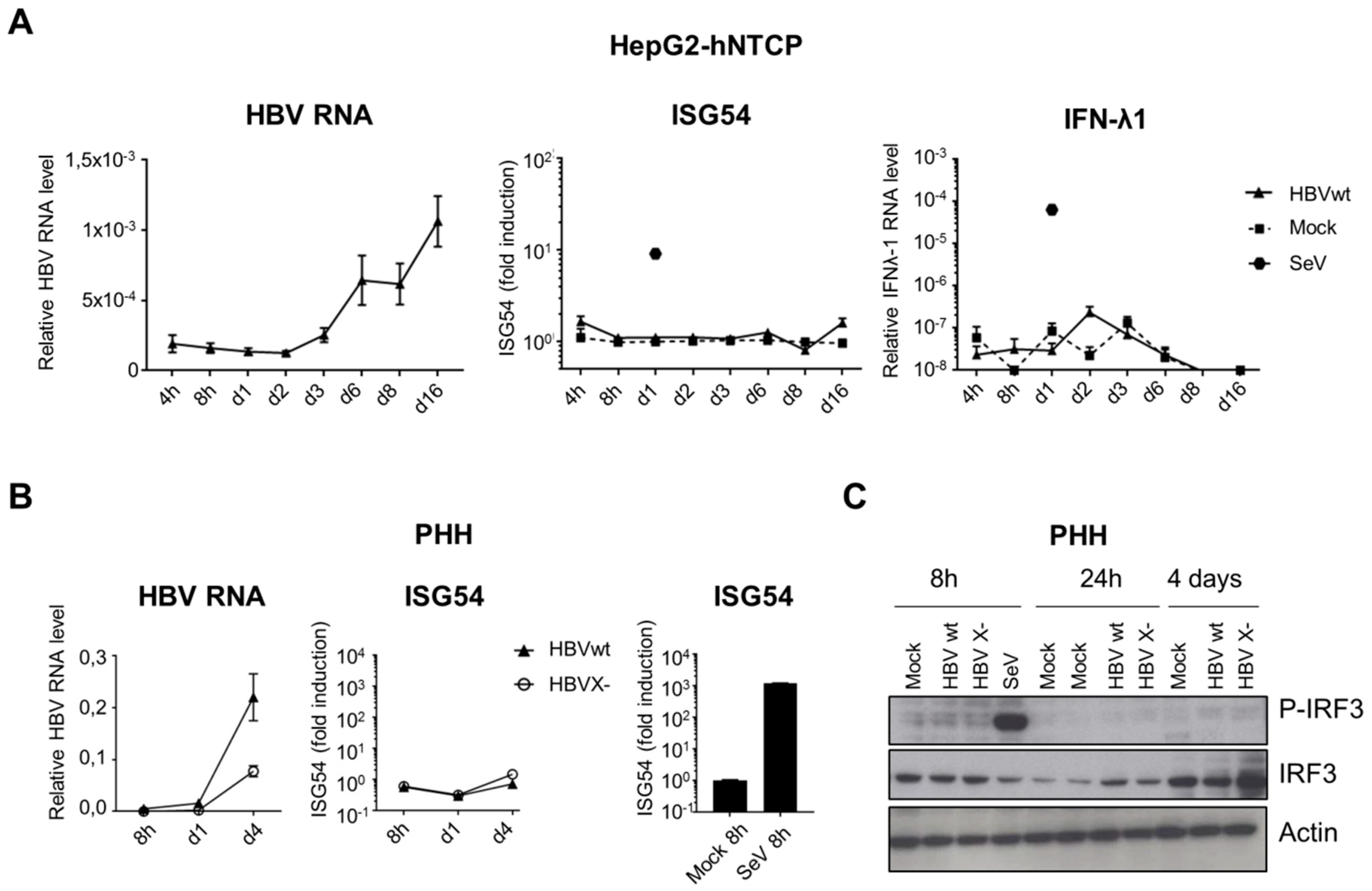 Viruses 12 00592 g005
