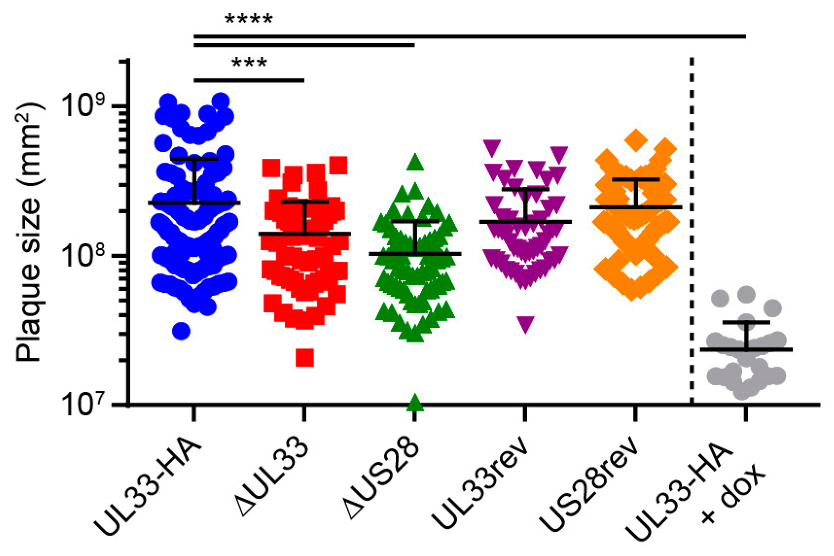 Viruses 12 00594 g002 Viruses 12 00594 g002
