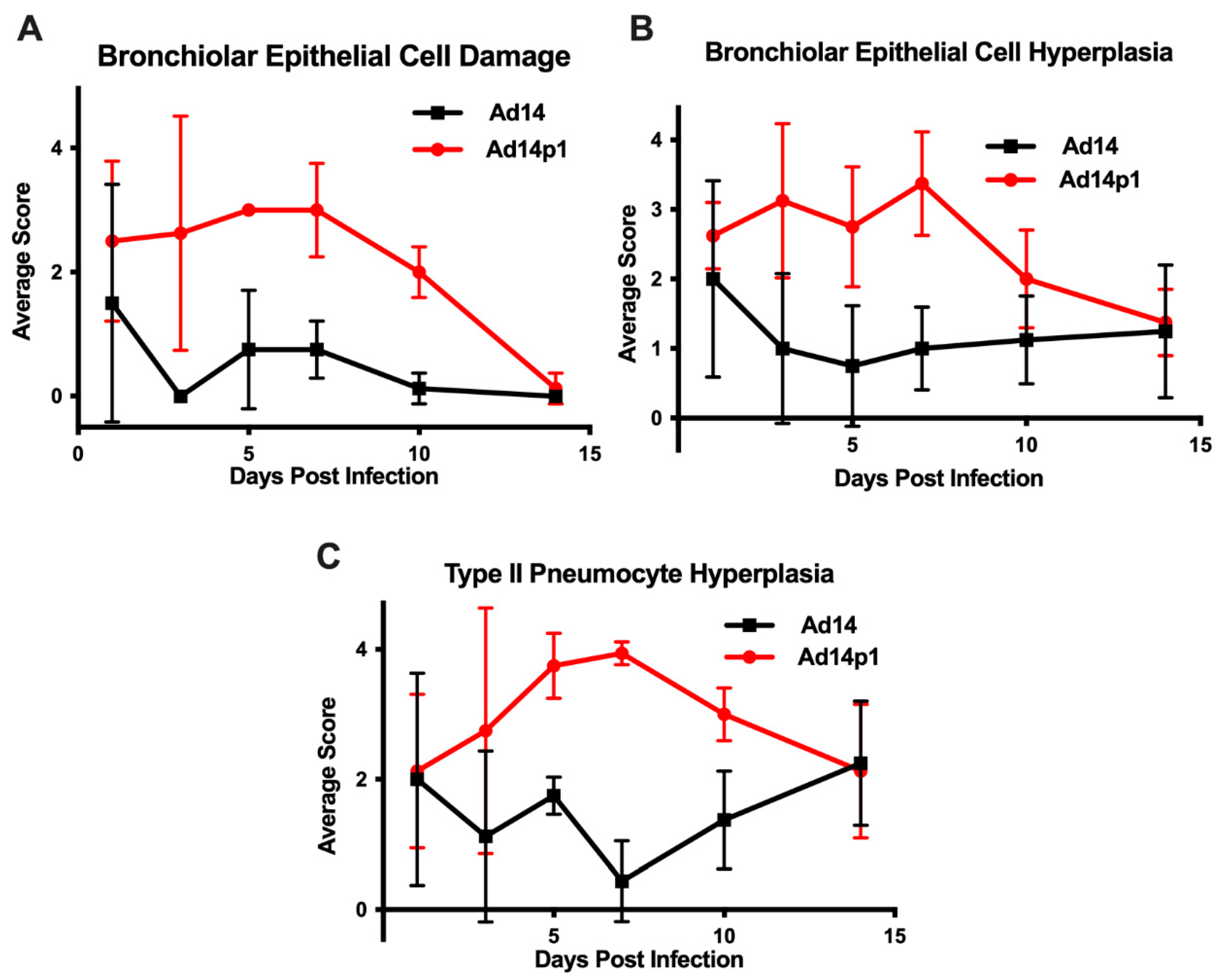 Viruses 12 00595 g003 Viruses 12 00595 g003