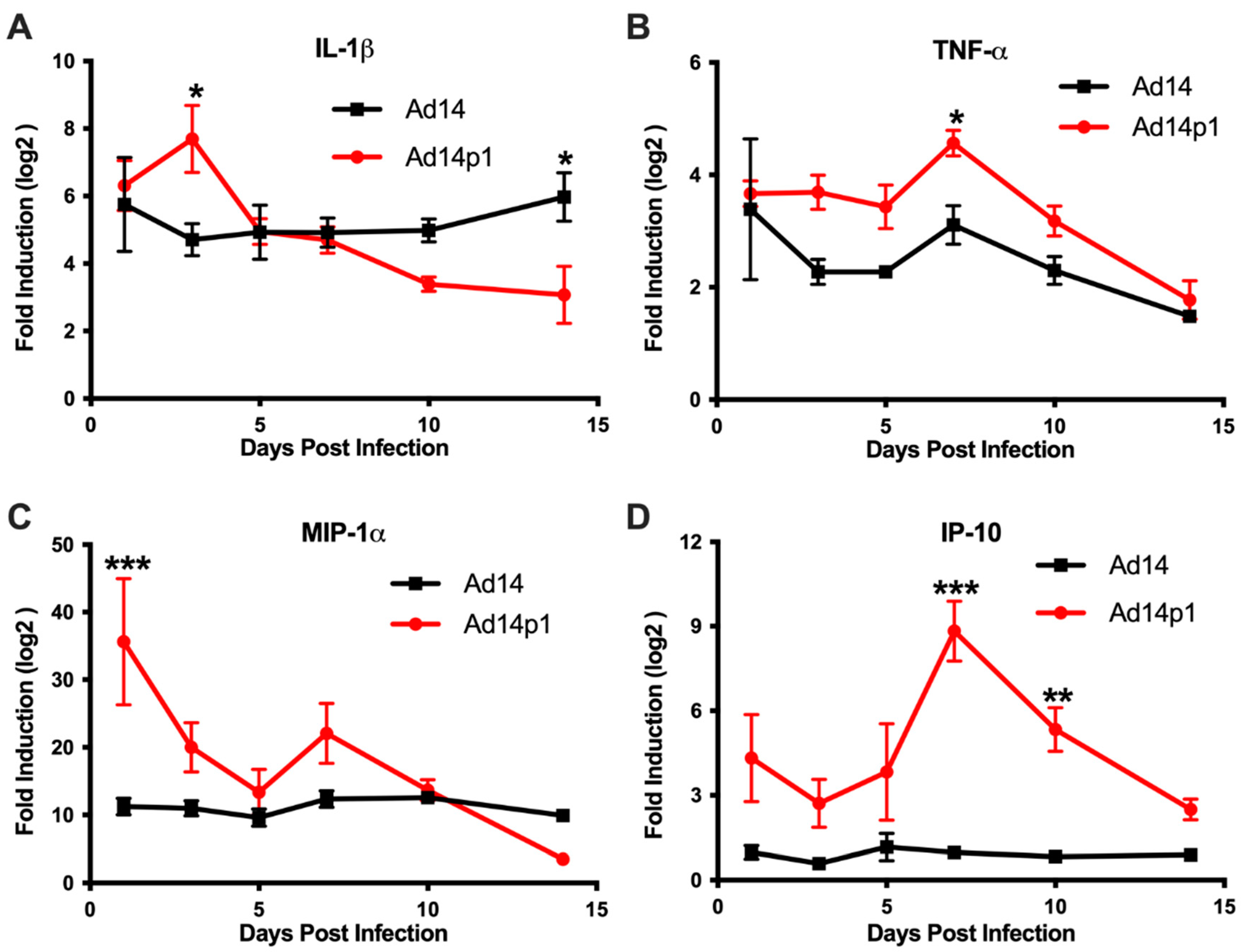 Viruses 12 00595 g007 Viruses 12 00595 g007