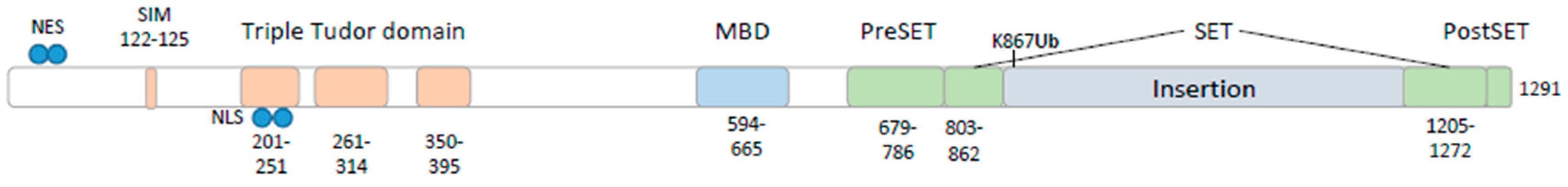 Viruses 12 00596 g001 Viruses 12 00596 g001