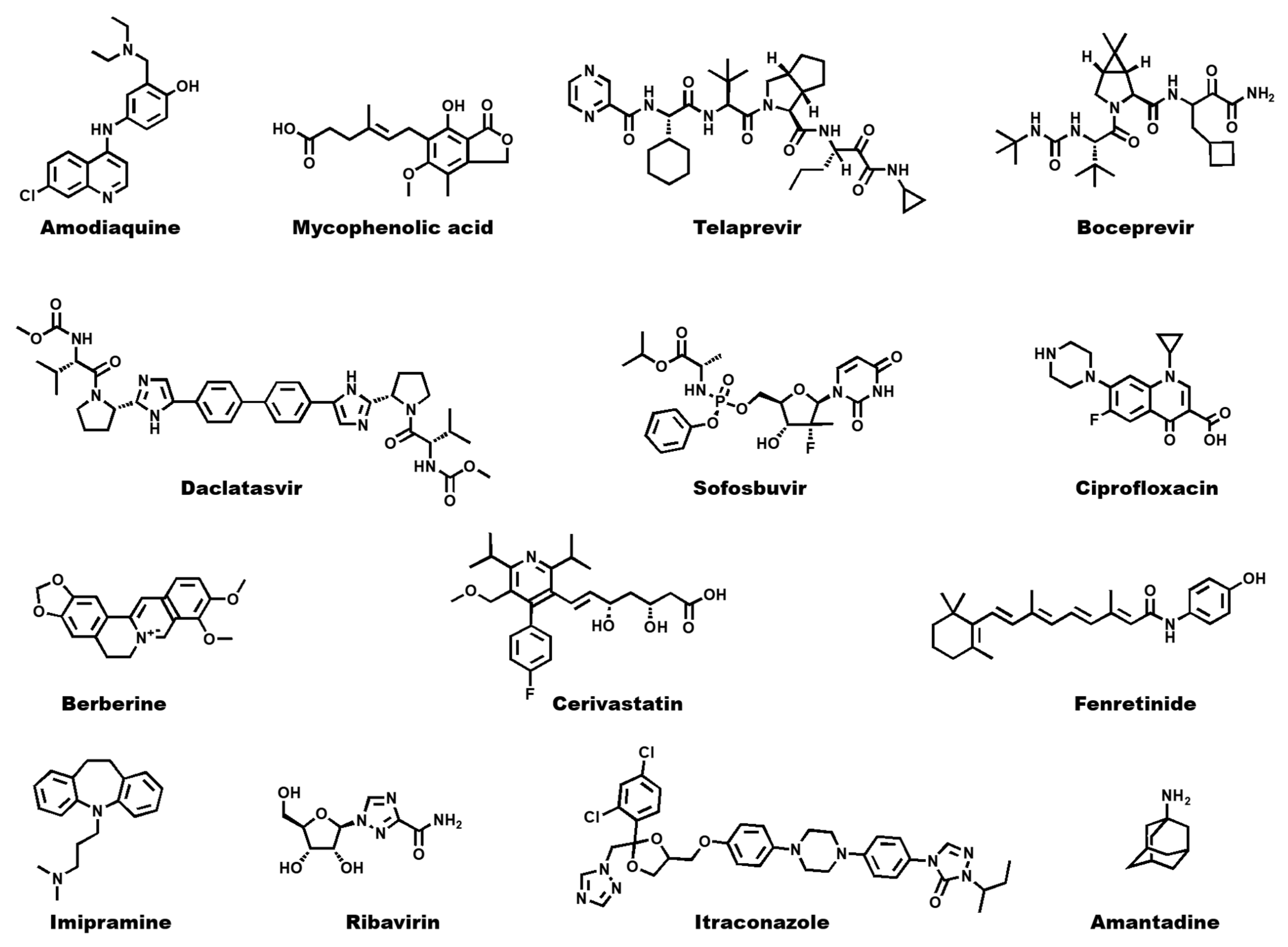 Viruses 12 00598 g004 Viruses 12 00598 g004