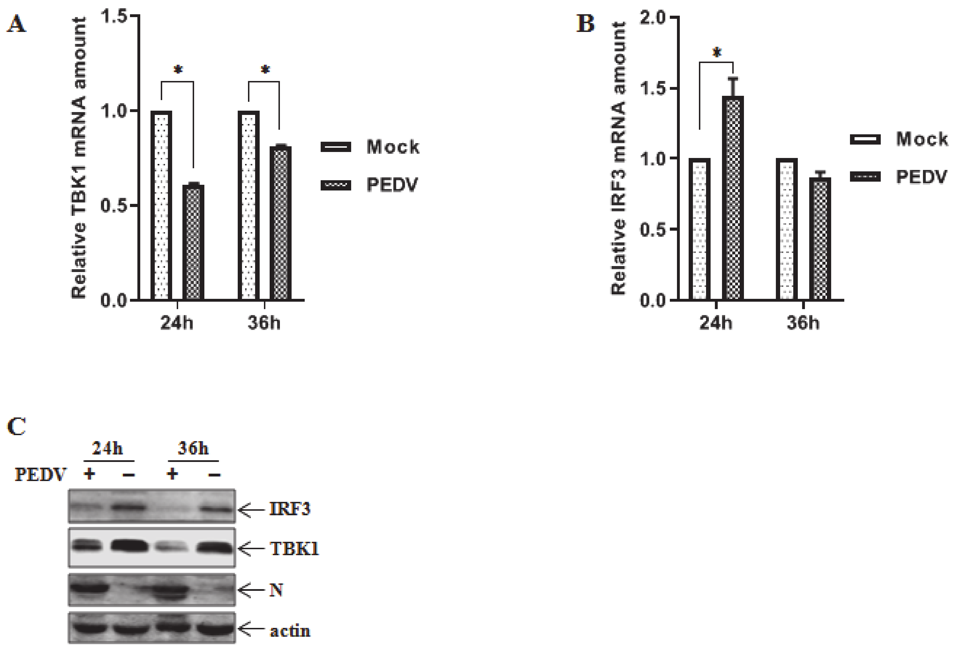 Viruses 12 00599 g001 Viruses 12 00599 g001