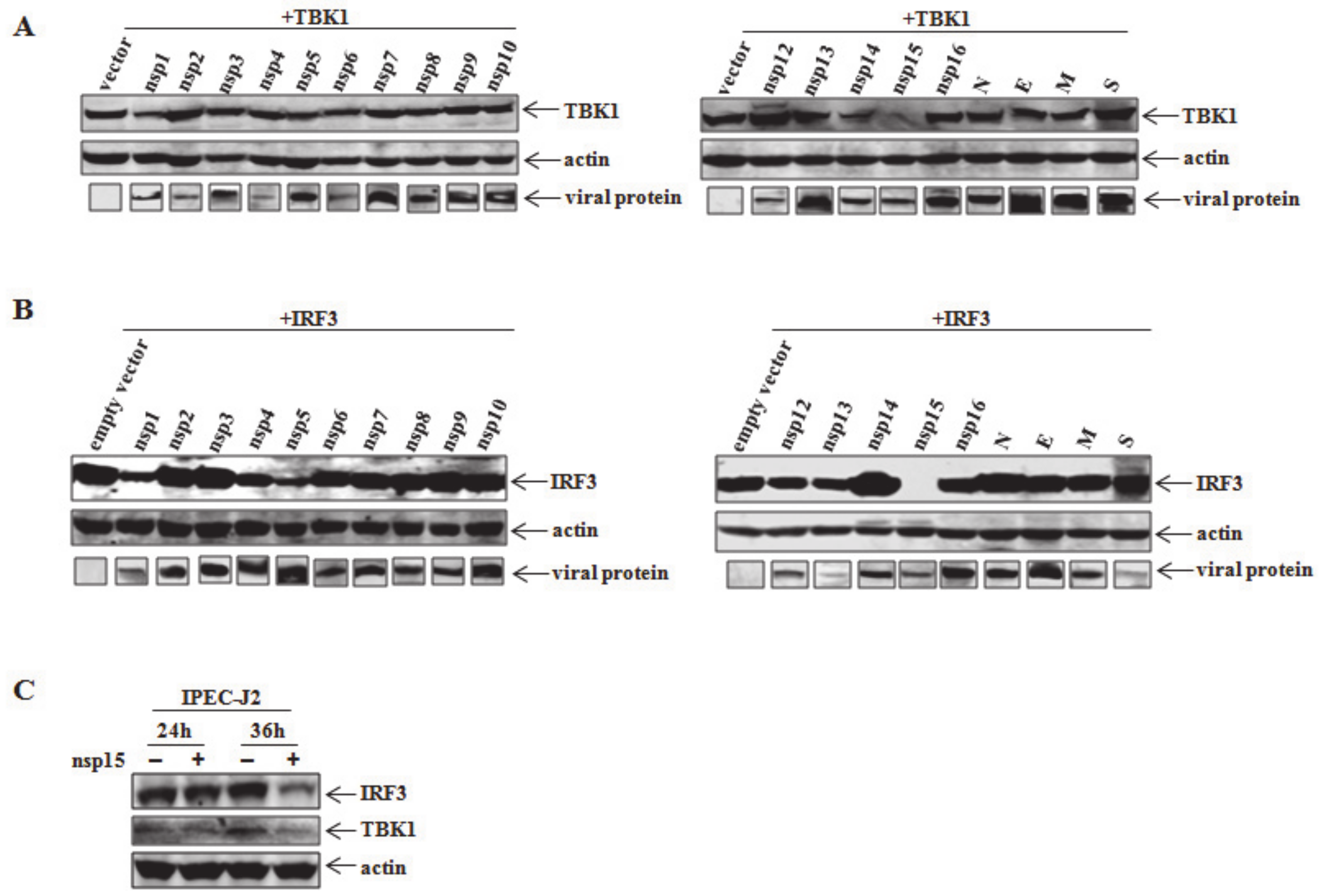 Viruses 12 00599 g002 Viruses 12 00599 g002