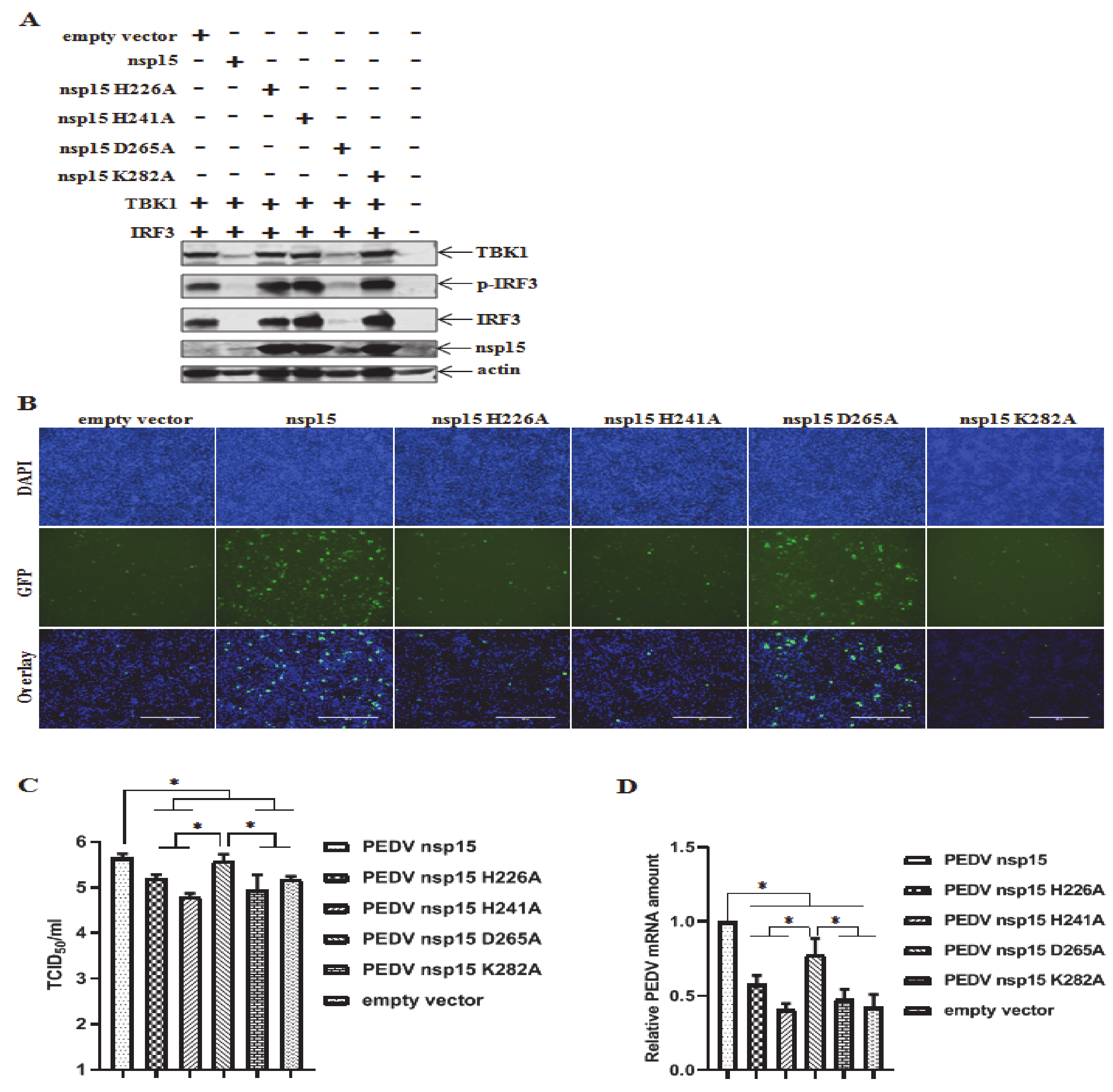 Viruses 12 00599 g006 Viruses 12 00599 g006