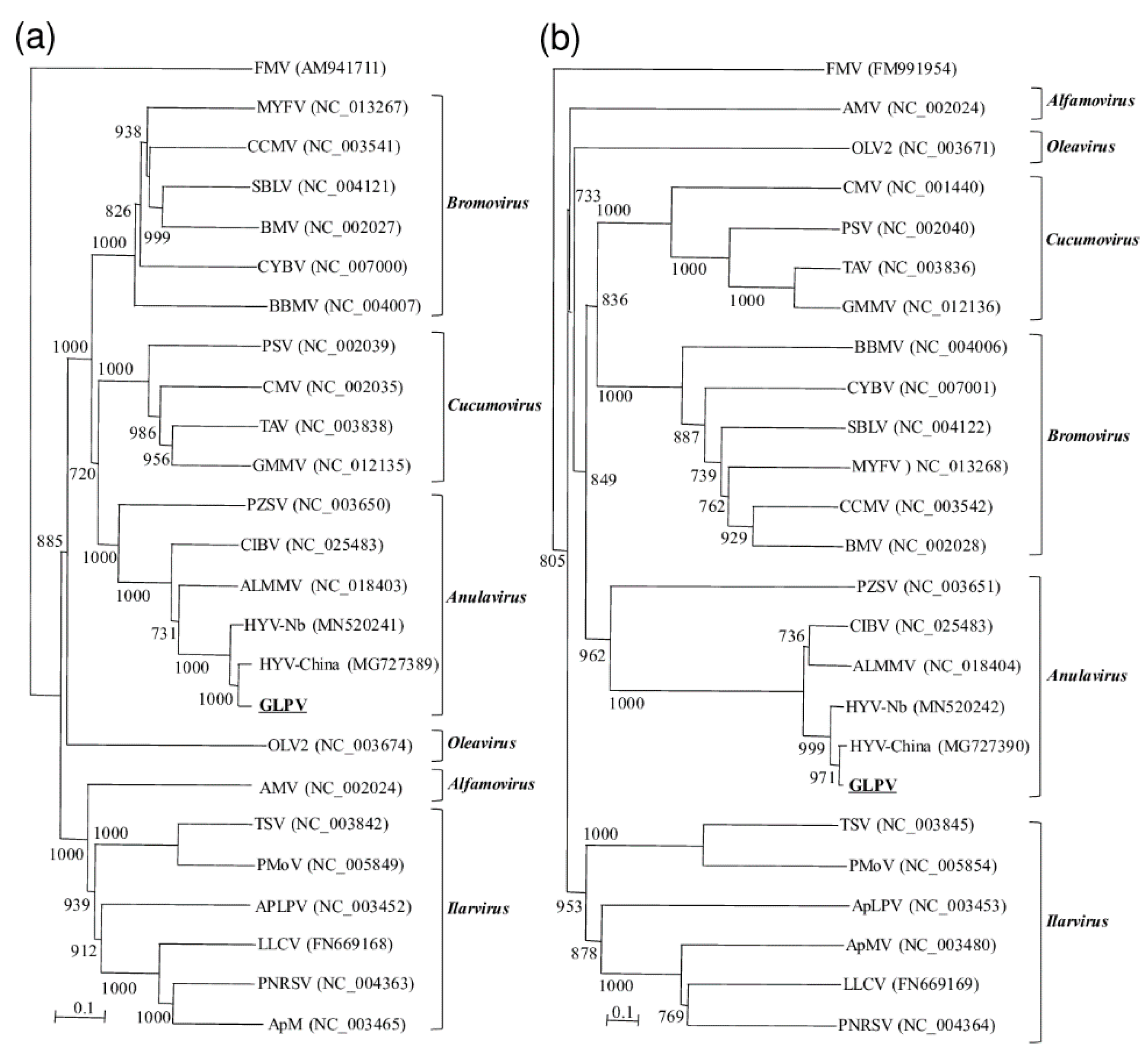 Viruses 12 00602 g003 Viruses 12 00602 g003