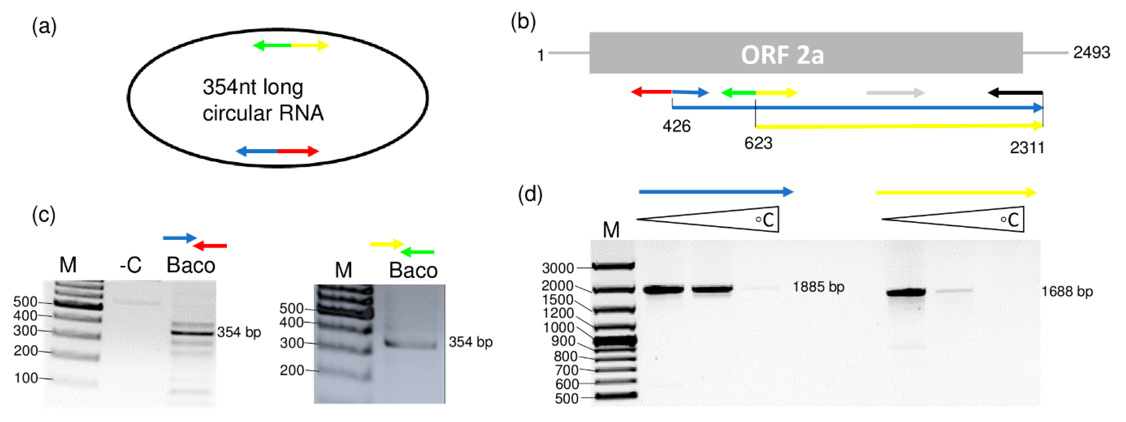 Viruses 12 00602 g005 Viruses 12 00602 g005