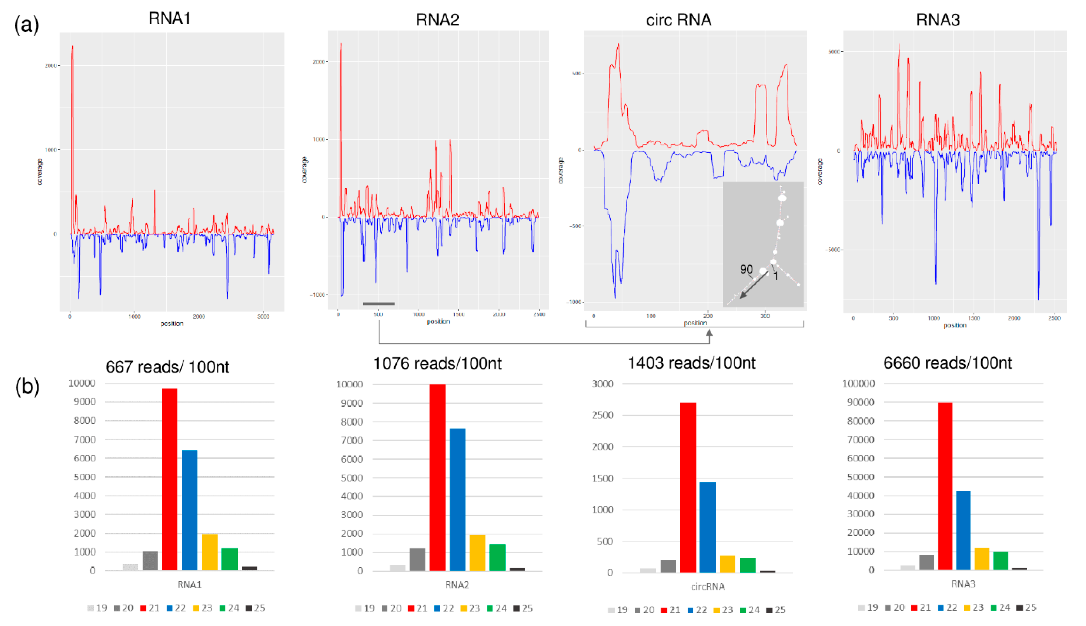 Viruses 12 00602 g006 Viruses 12 00602 g006