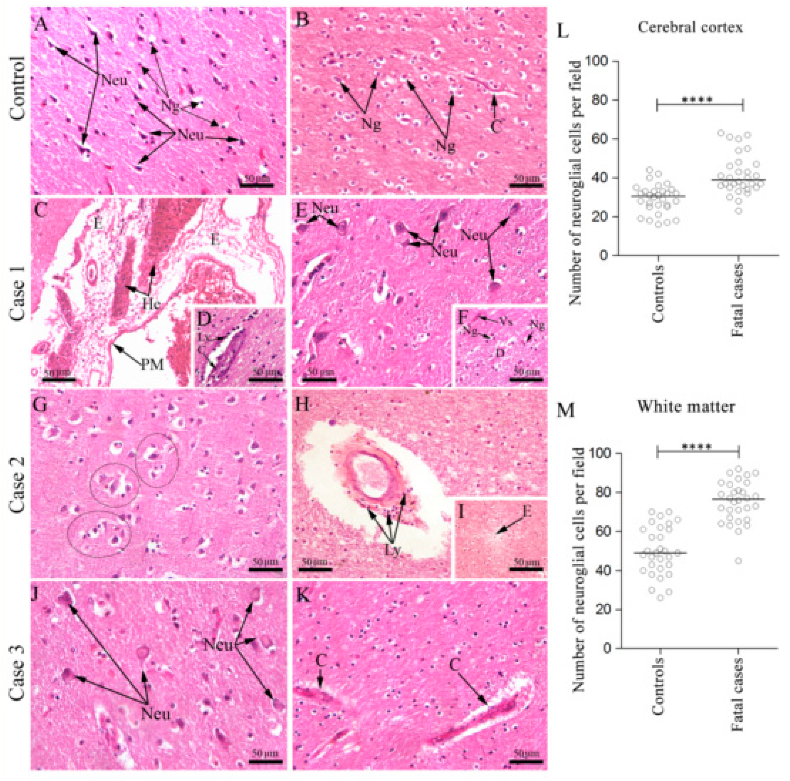 Viruses 12 00603 g001