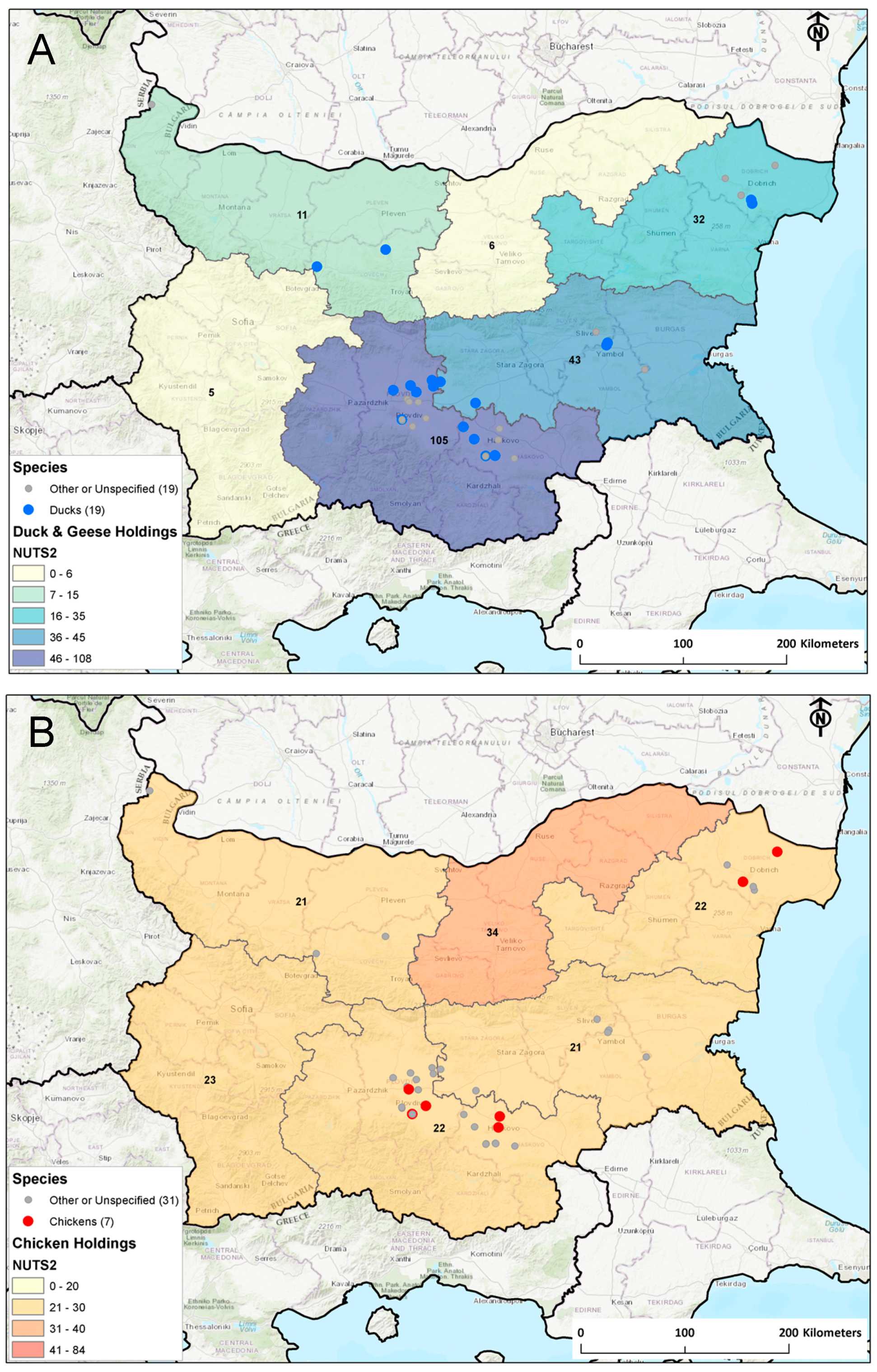 Viruses 12 00605 g002