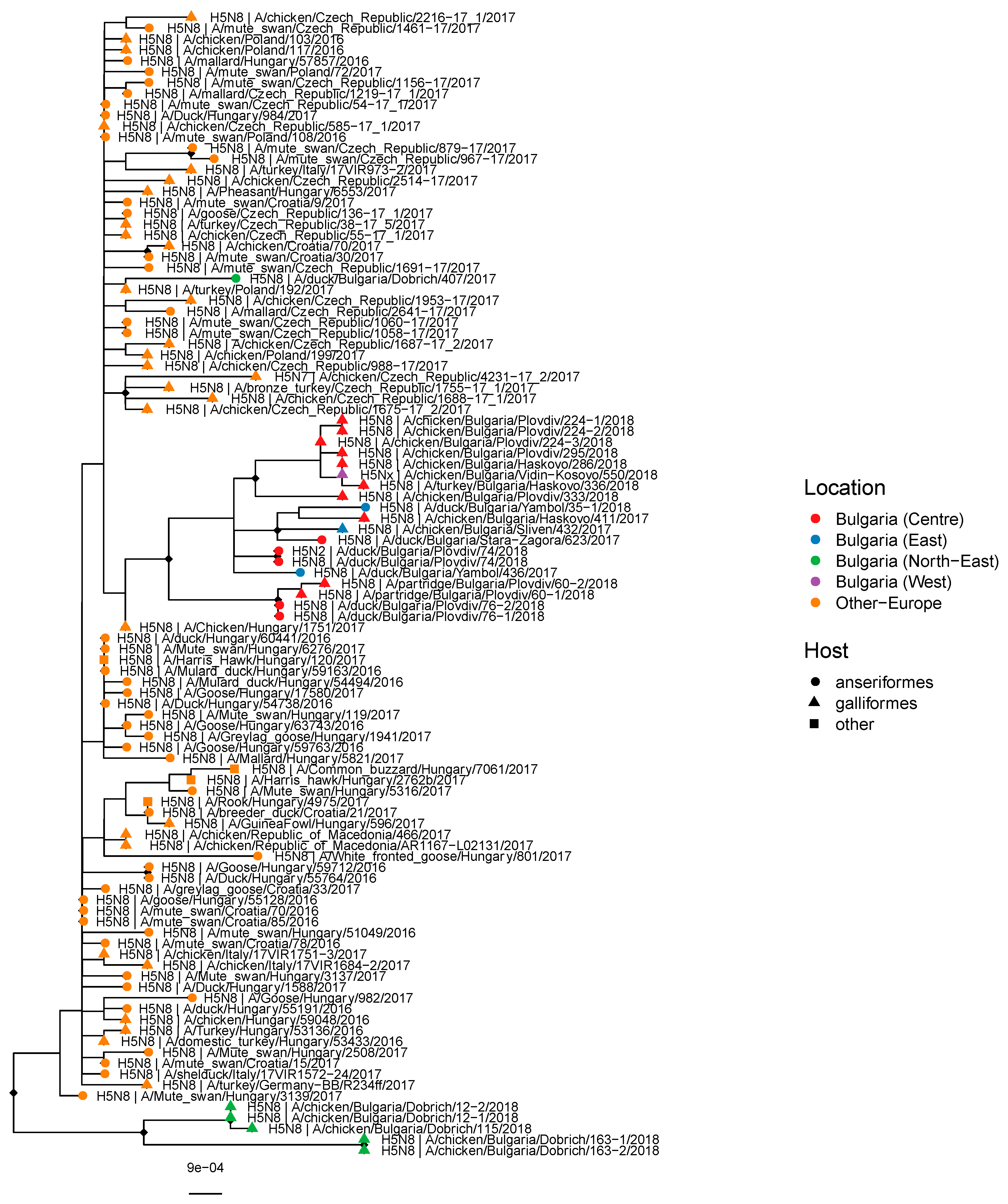 Viruses 12 00605 g003