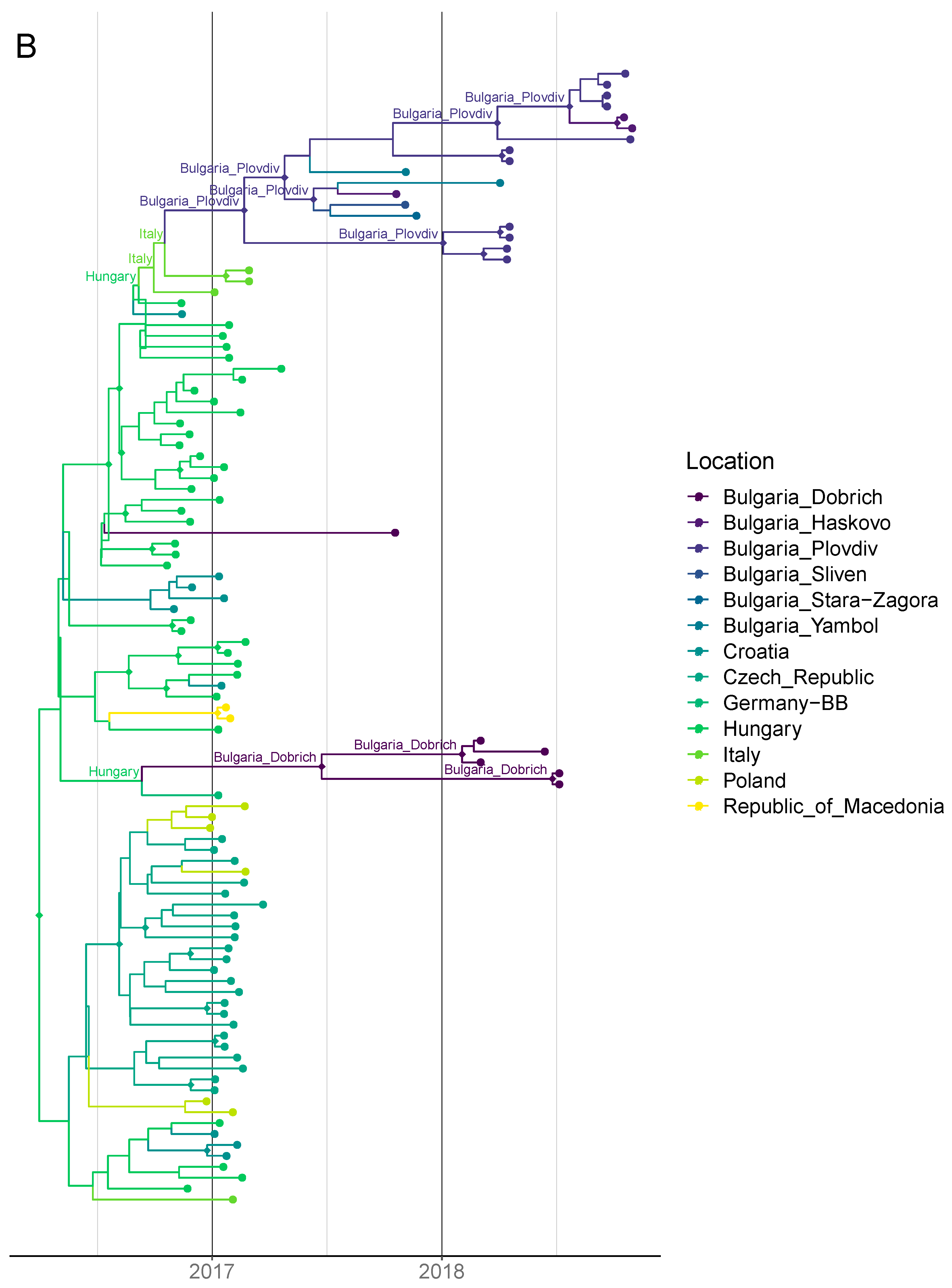 Viruses 12 00605 g004b