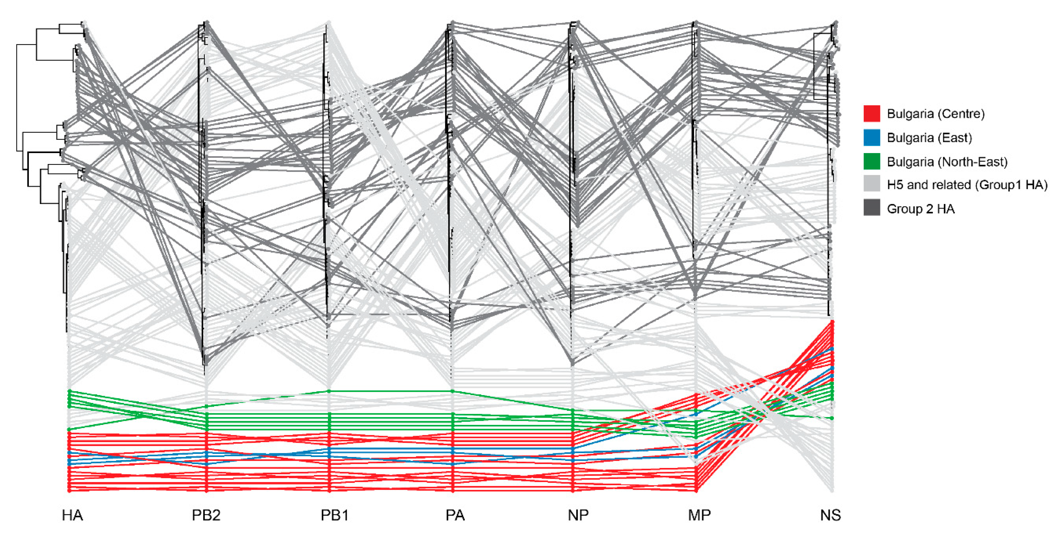Viruses 12 00605 g007
