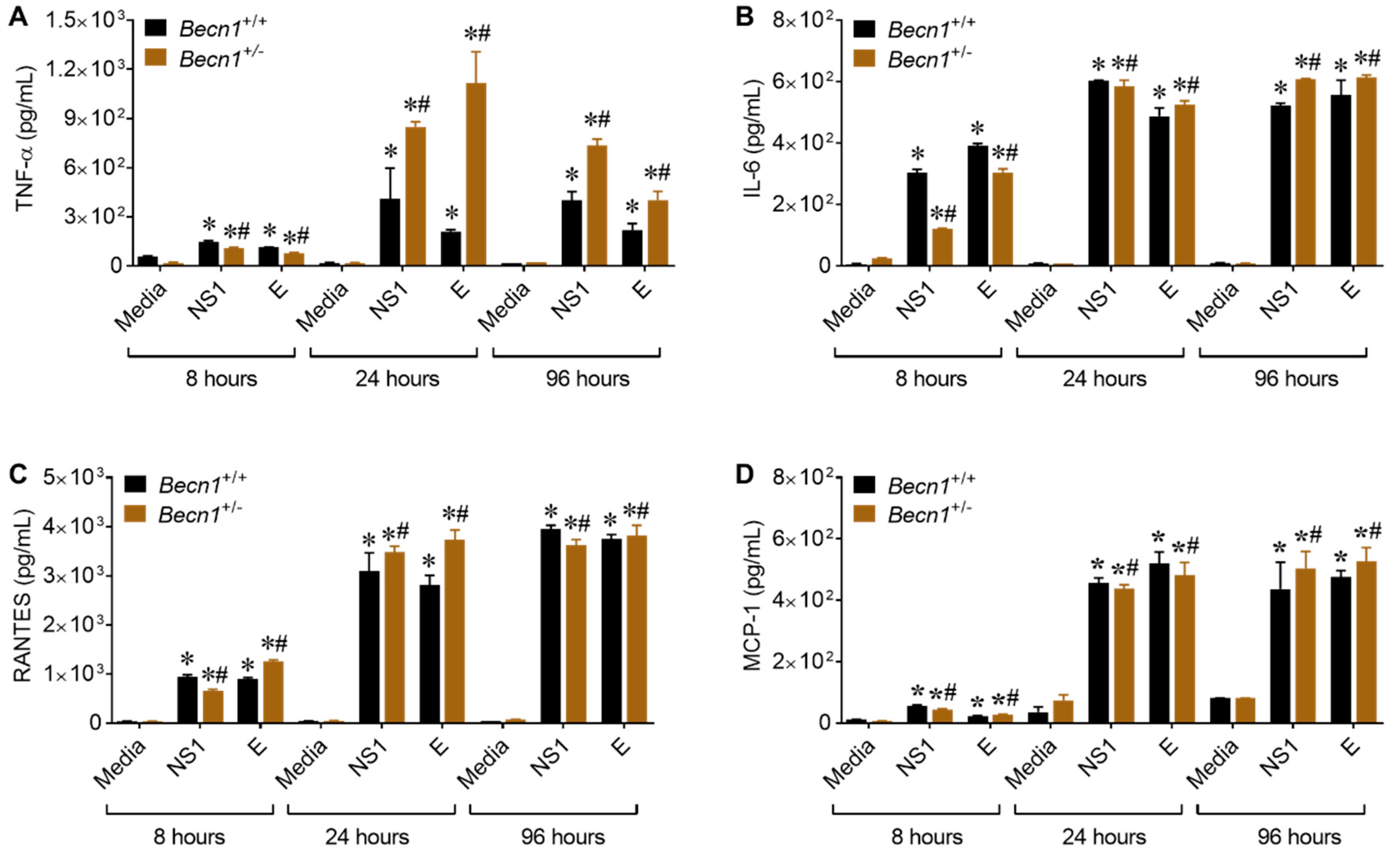Viruses 12 00608 g005 Viruses 12 00608 g005