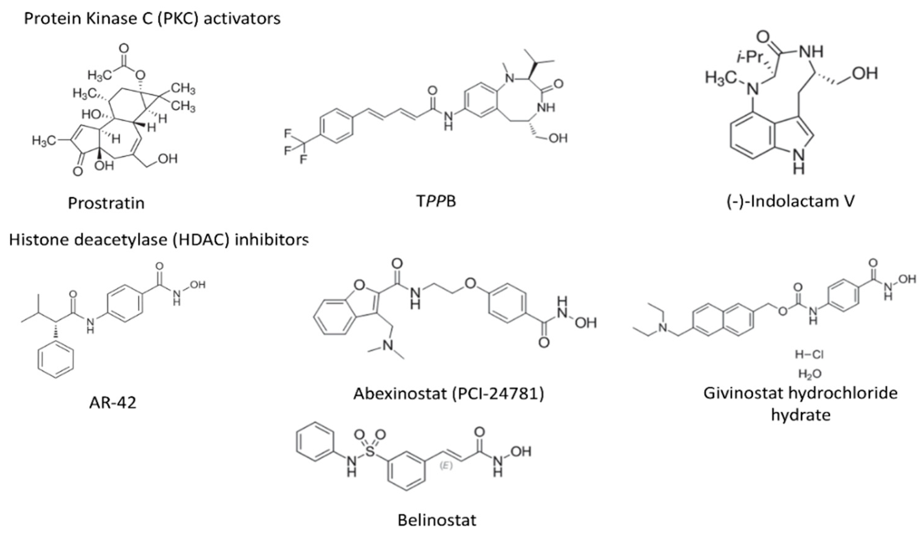 Viruses 12 00609 g001