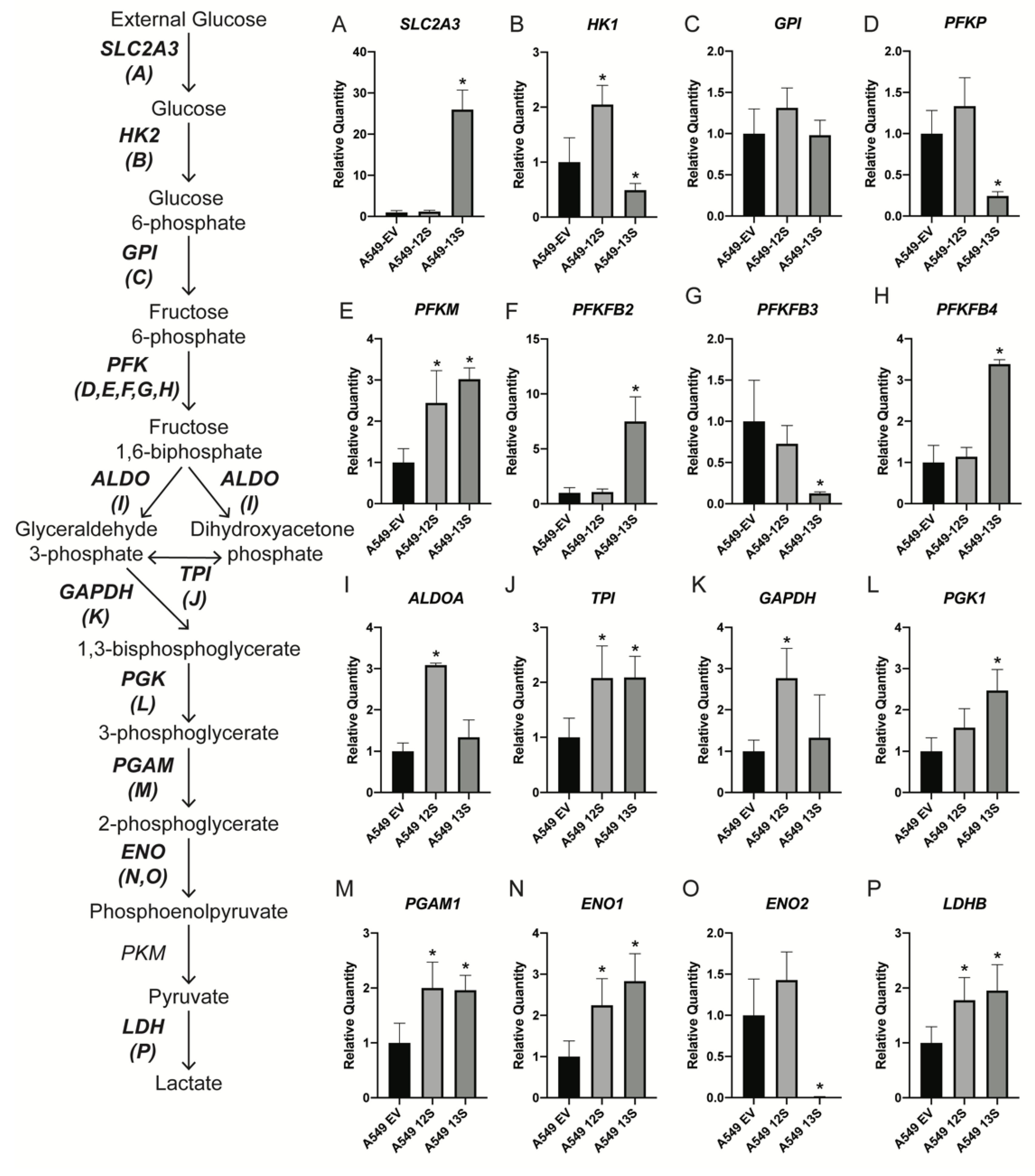 Viruses 12 00610 g002 Viruses 12 00610 g002