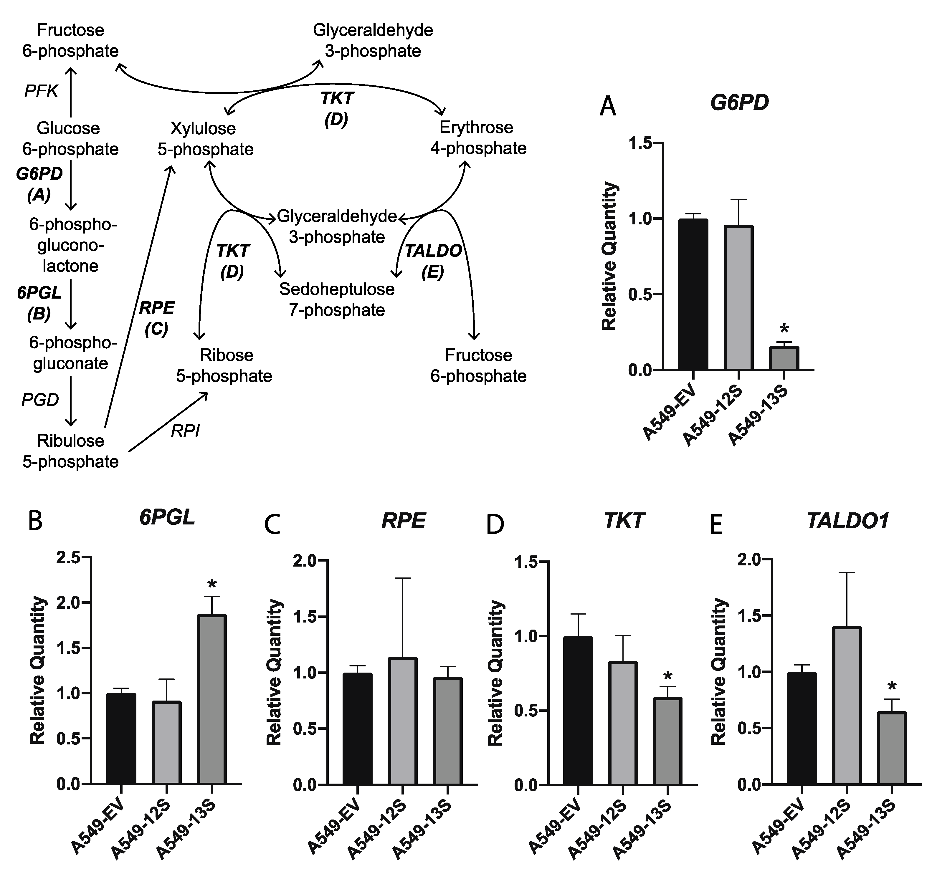 Viruses 12 00610 g003 Viruses 12 00610 g003