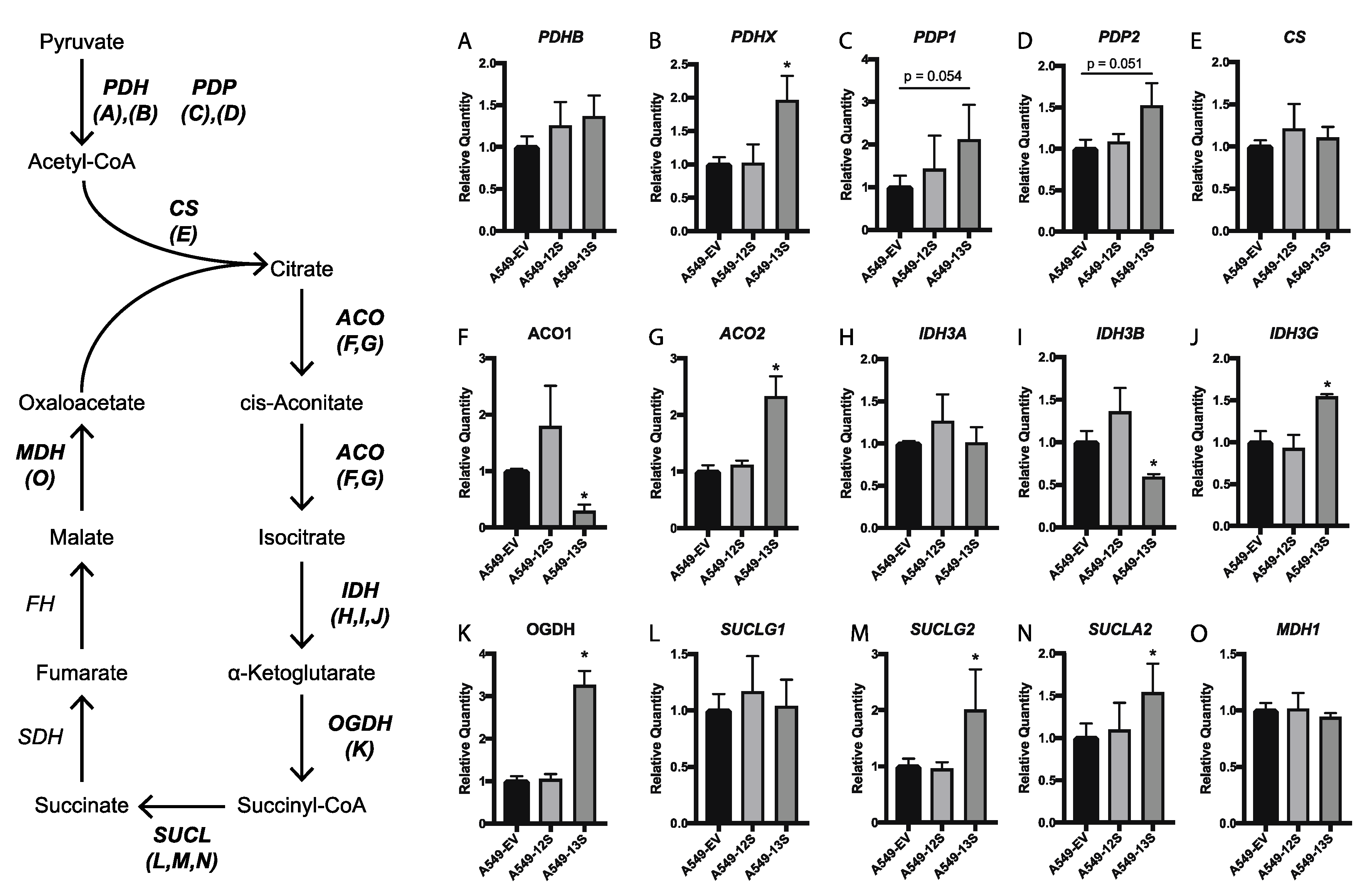 Viruses 12 00610 g004 Viruses 12 00610 g004