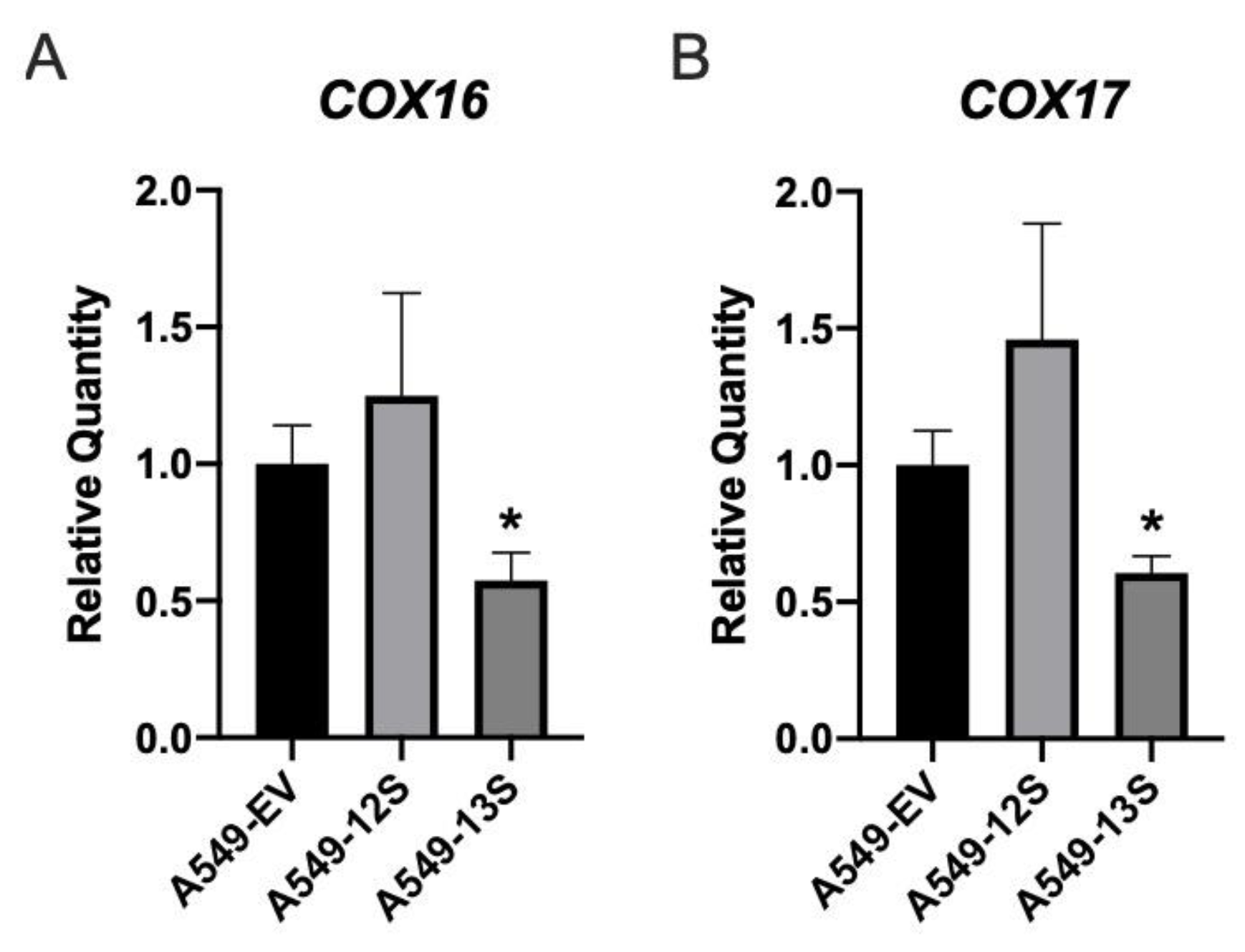Viruses 12 00610 g005 Viruses 12 00610 g005