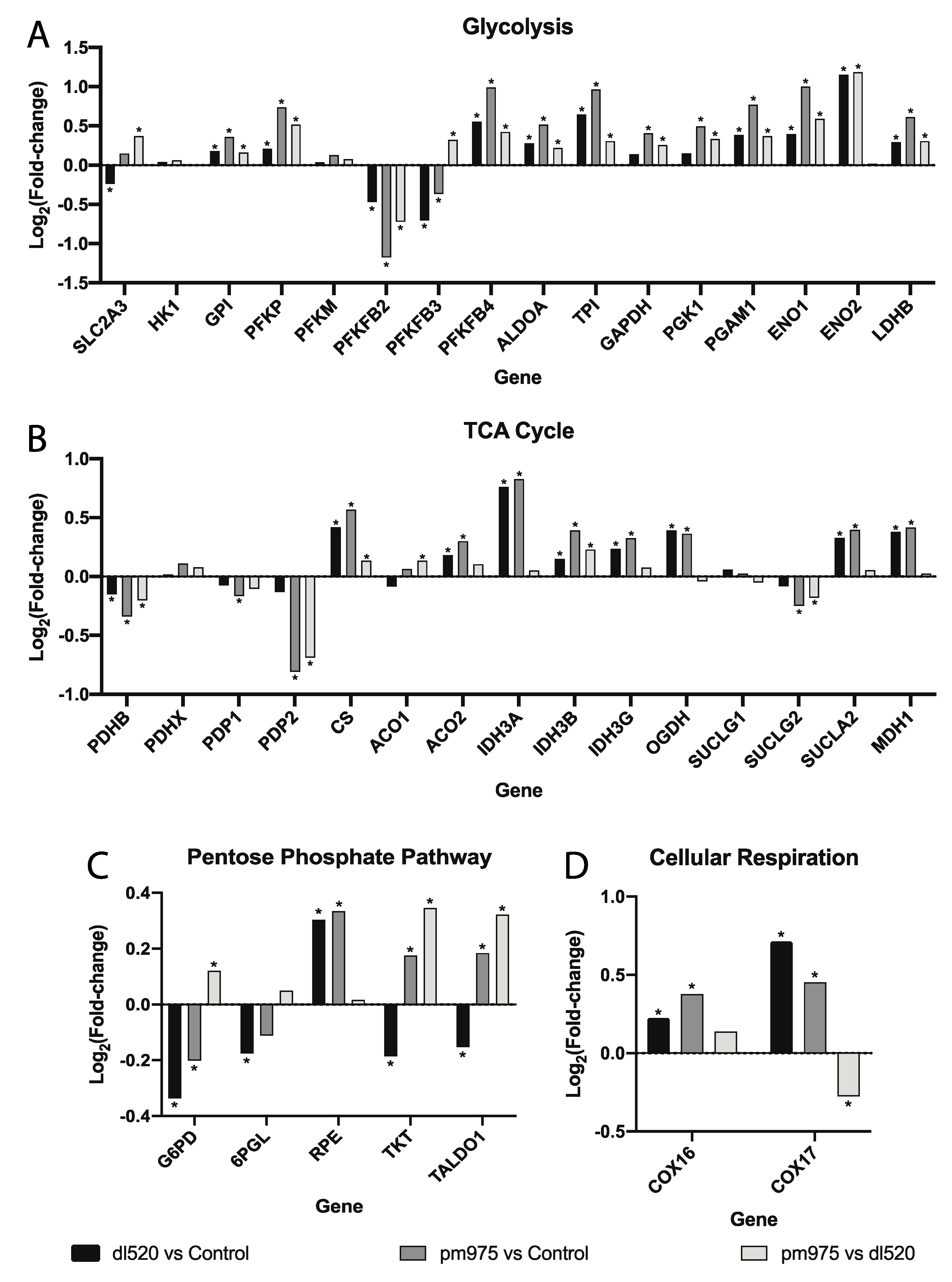 Viruses 12 00610 g006 Viruses 12 00610 g006