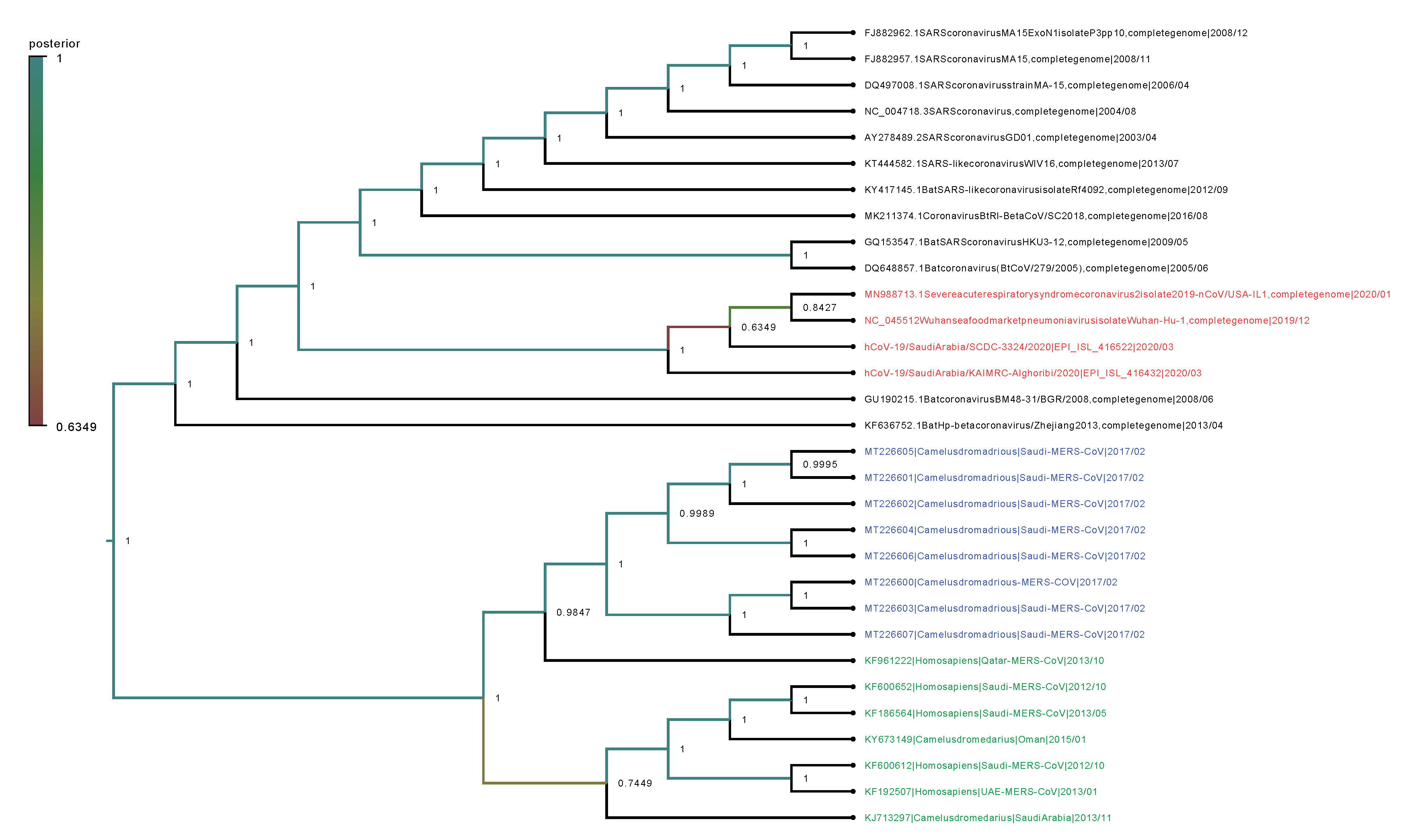 Viruses 12 00611 g001 Viruses 12 00611 g001