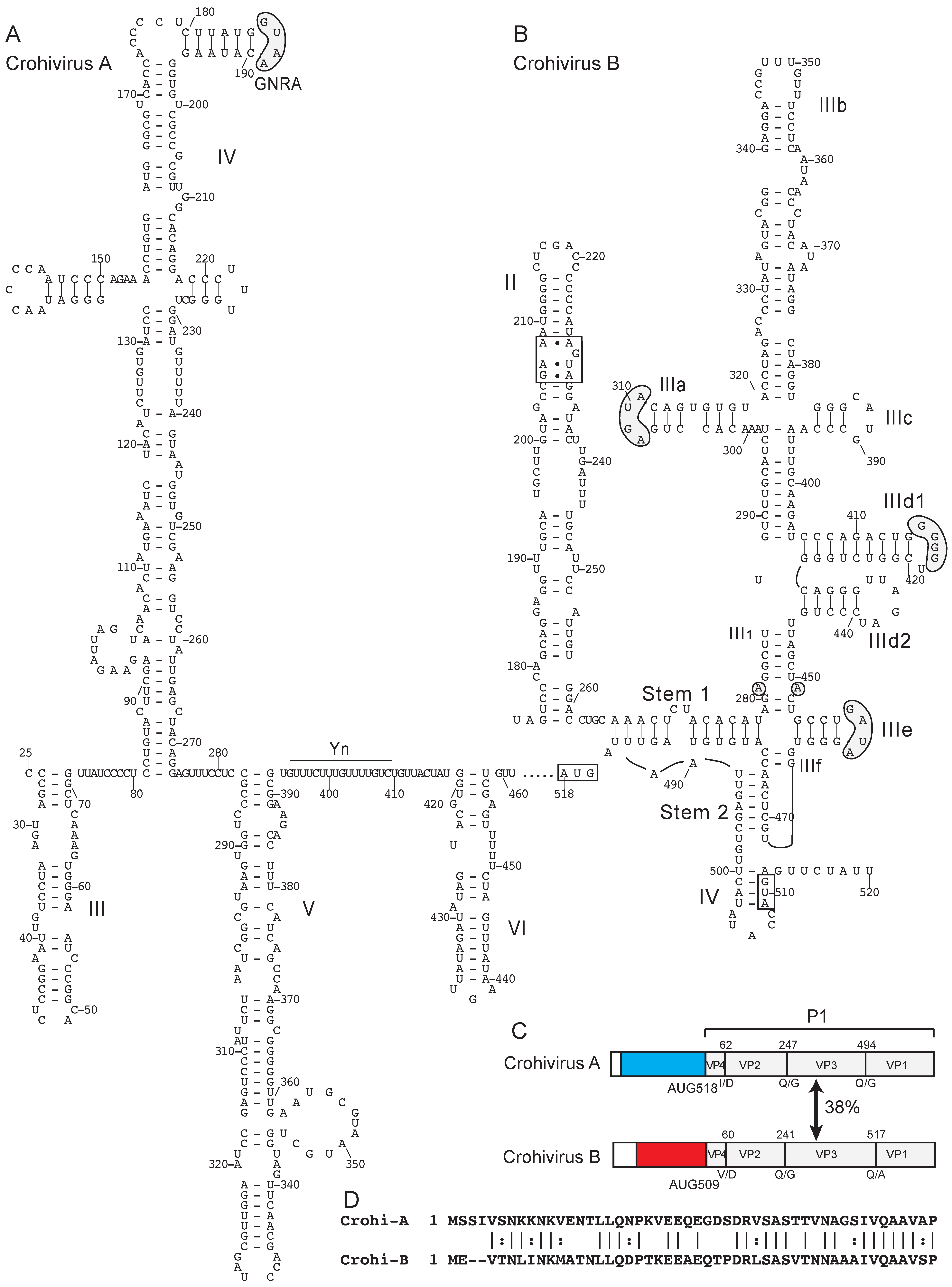 Viruses 12 00612 g001 Viruses 12 00612 g001