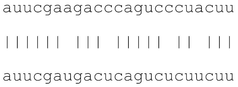 Viruses 12 00614 i002 Viruses 12 00614 i002