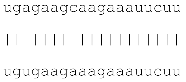 Viruses 12 00614 i003 Viruses 12 00614 i003