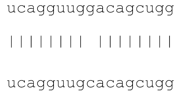 Viruses 12 00614 i004 Viruses 12 00614 i004