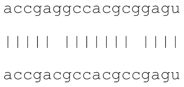 Viruses 12 00614 i006 Viruses 12 00614 i006